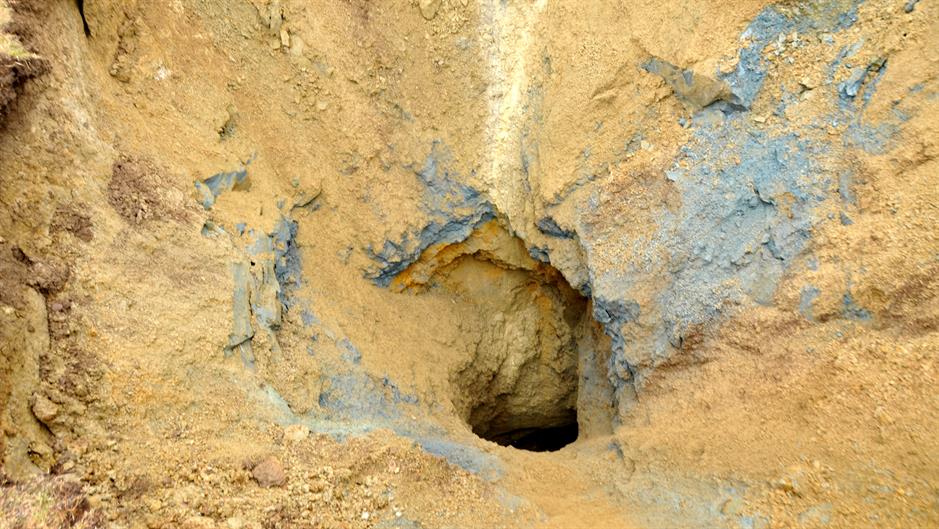 20160227_2_14485382_5809144