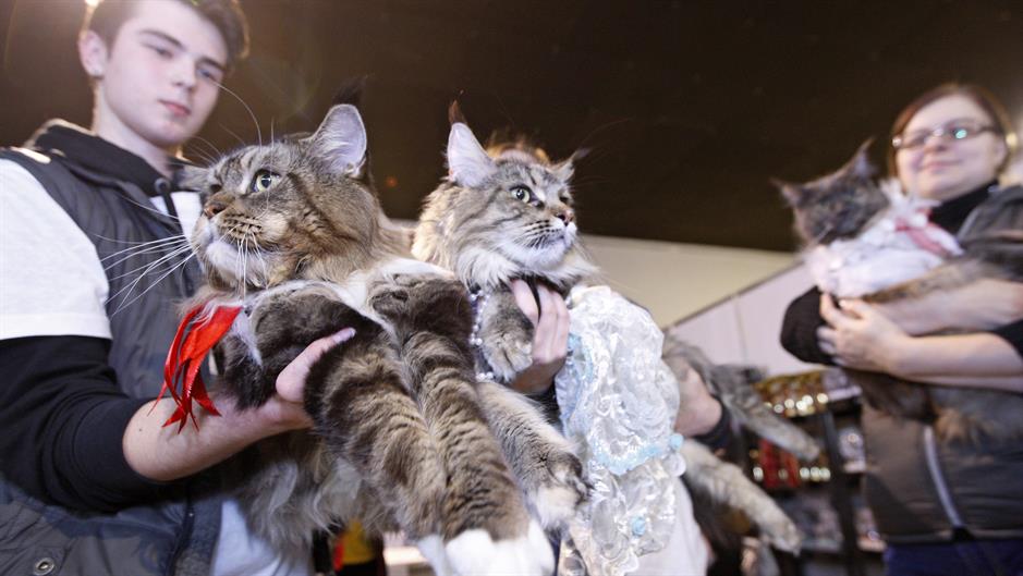 20160306_2_14616364_6052317