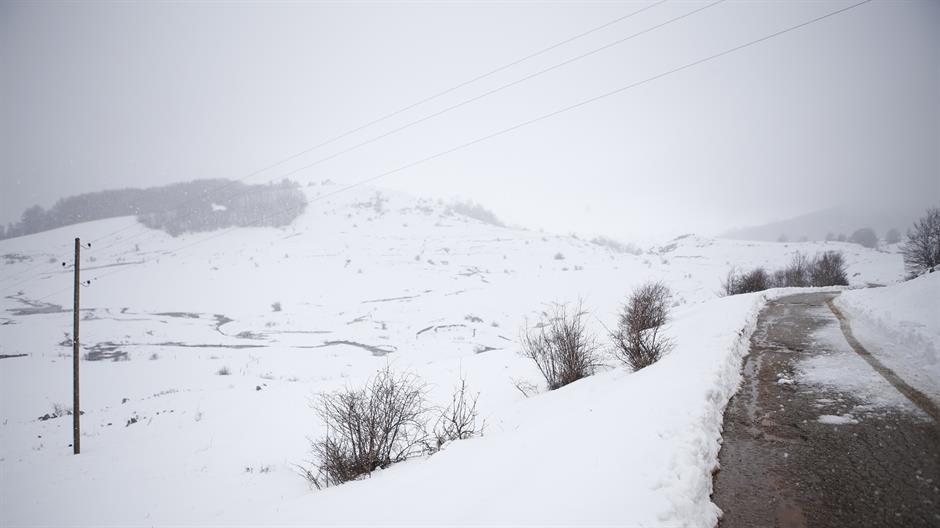 20160312_2_14715362_6224388