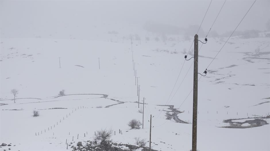 20160312_2_14715362_6224389