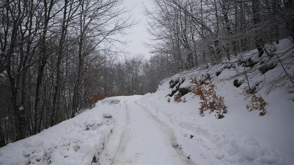 20160312_2_14715362_6224390