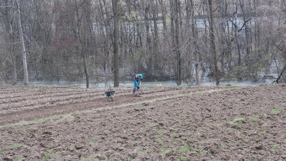 20160315_2_14761329_6304052