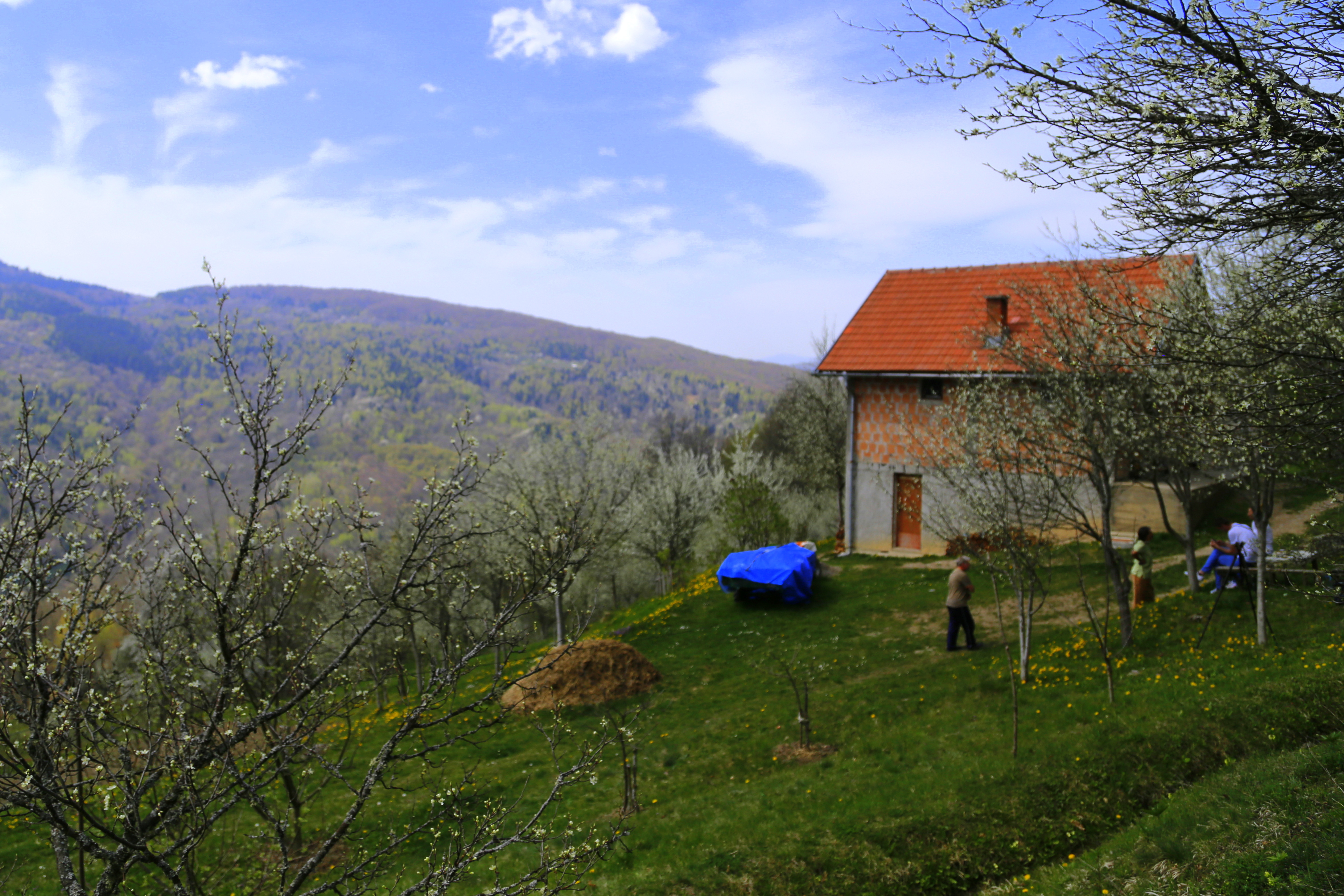 20160410_2_15413212_7508284