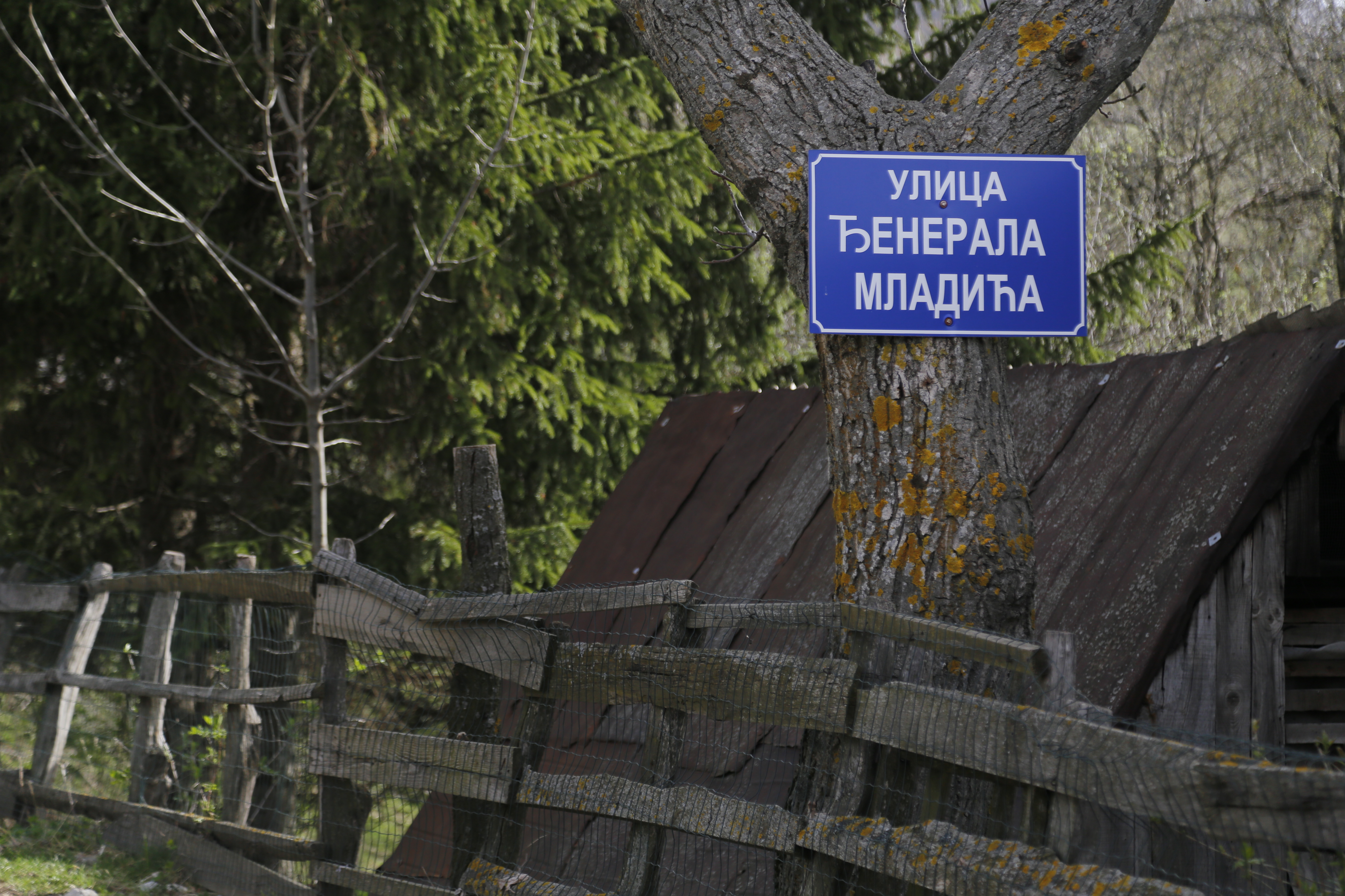 20160414_2_15485490_7640843