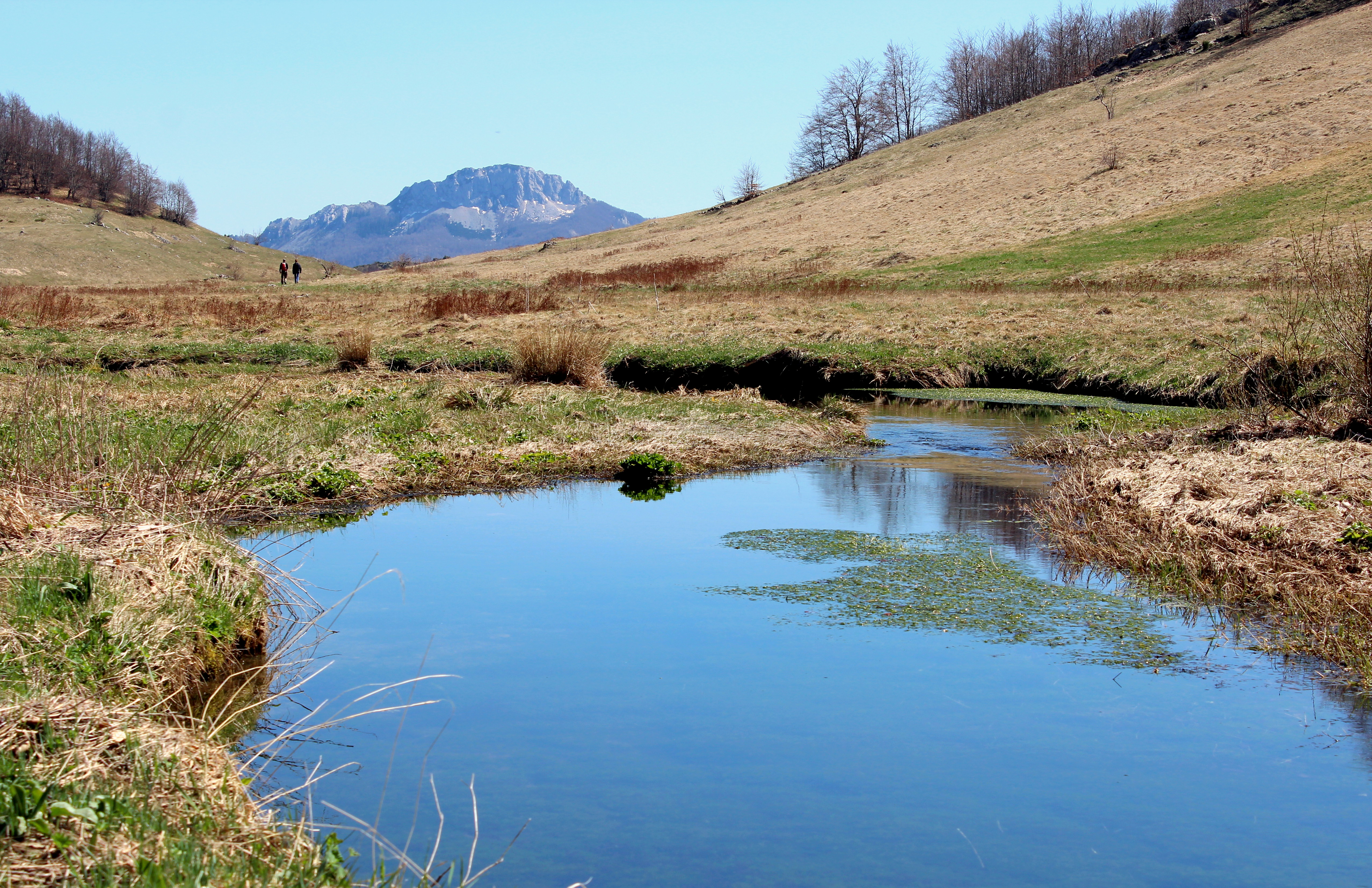 20160423_2_15646804_7947113