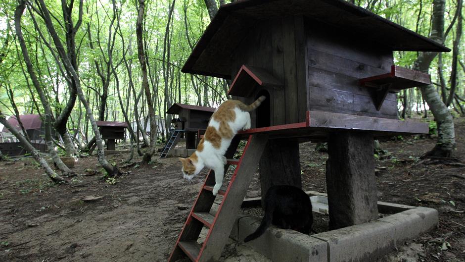 20160502_2_16437981_9551407