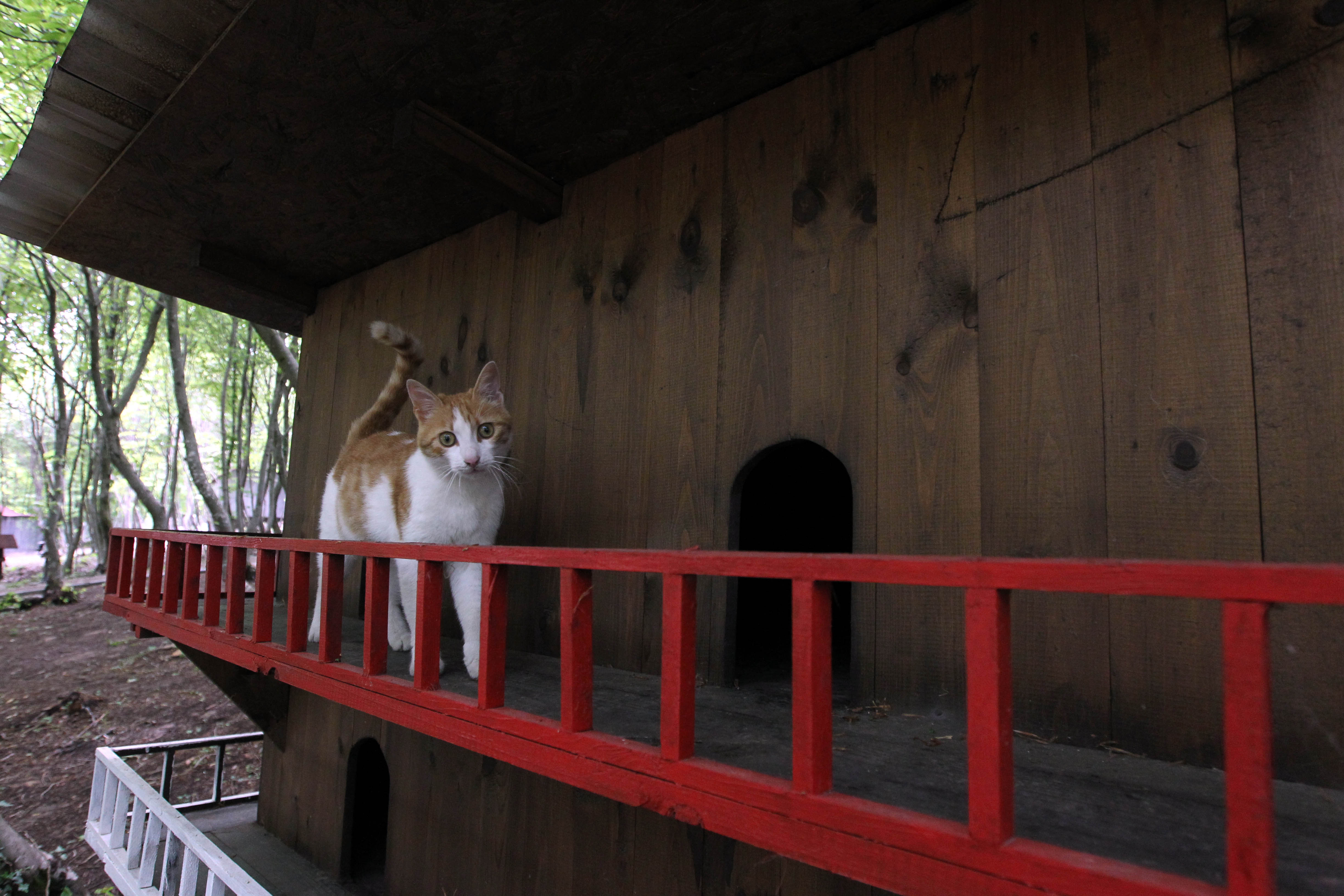 20160502_2_16437981_9551410