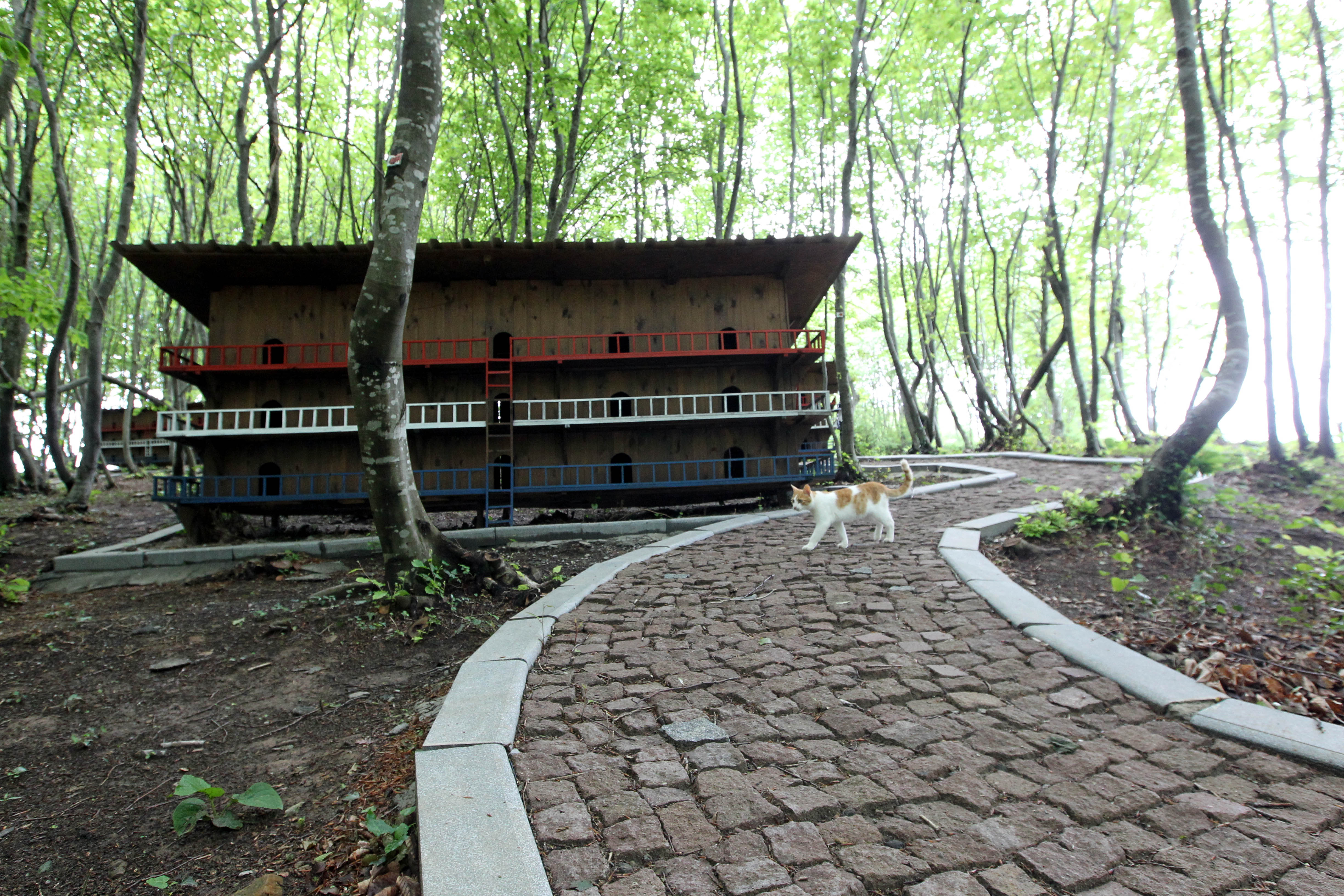 20160502_2_16437981_9551412