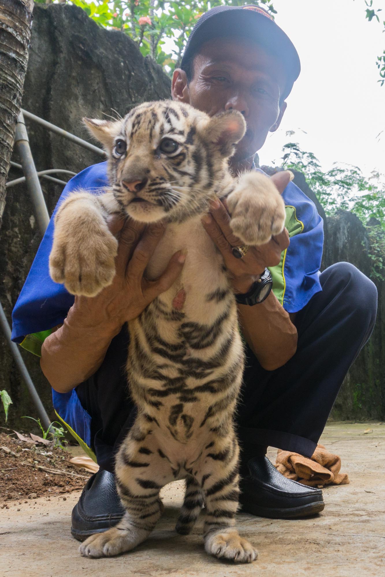 20160508_2_16602743_9828556