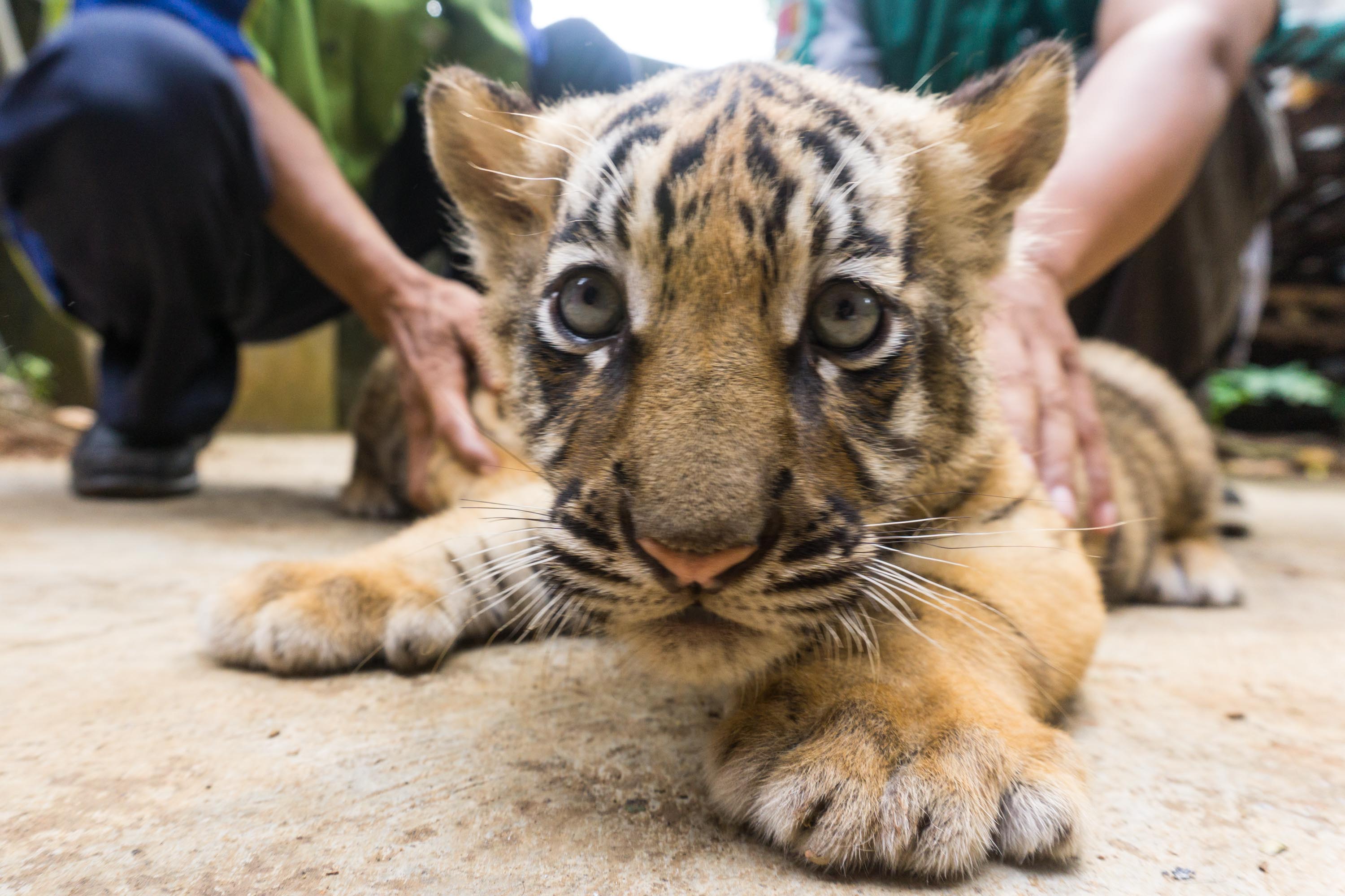 20160508_2_16602743_9828559