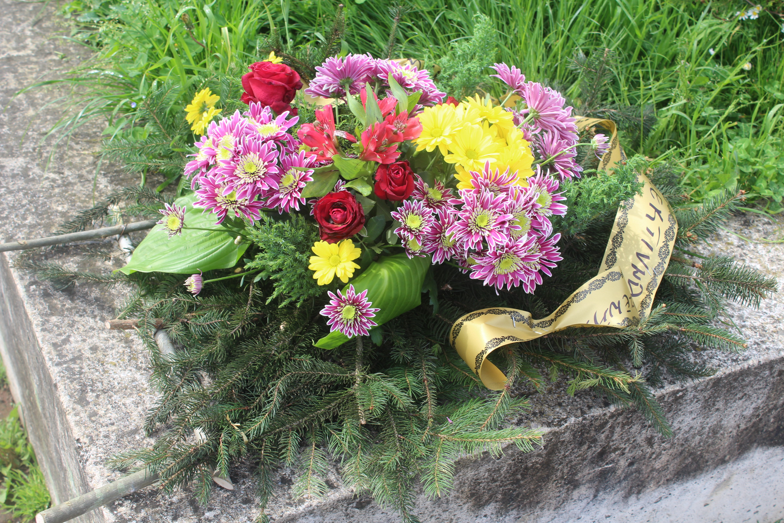 20160511_2_16656258_9926916