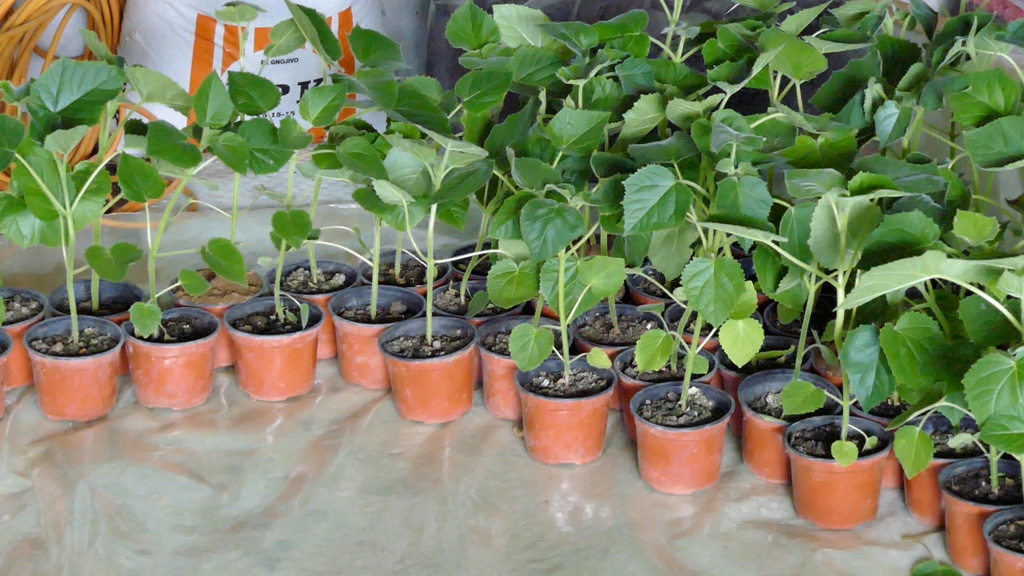 20160611_2_17453602_11233265