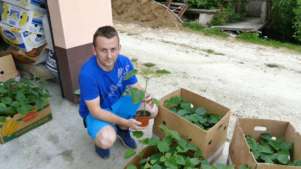 20160611_2_17453602_11233266