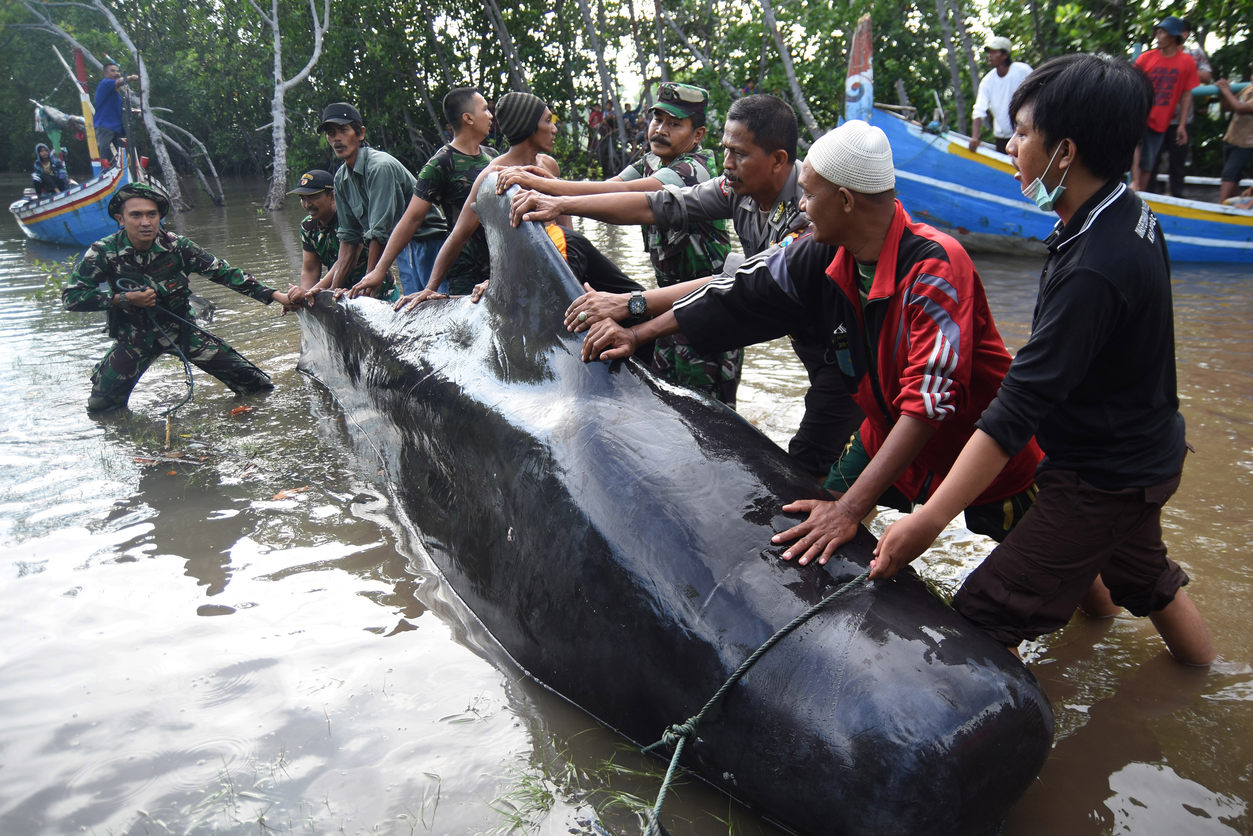 20160616_2_17533799_11372853