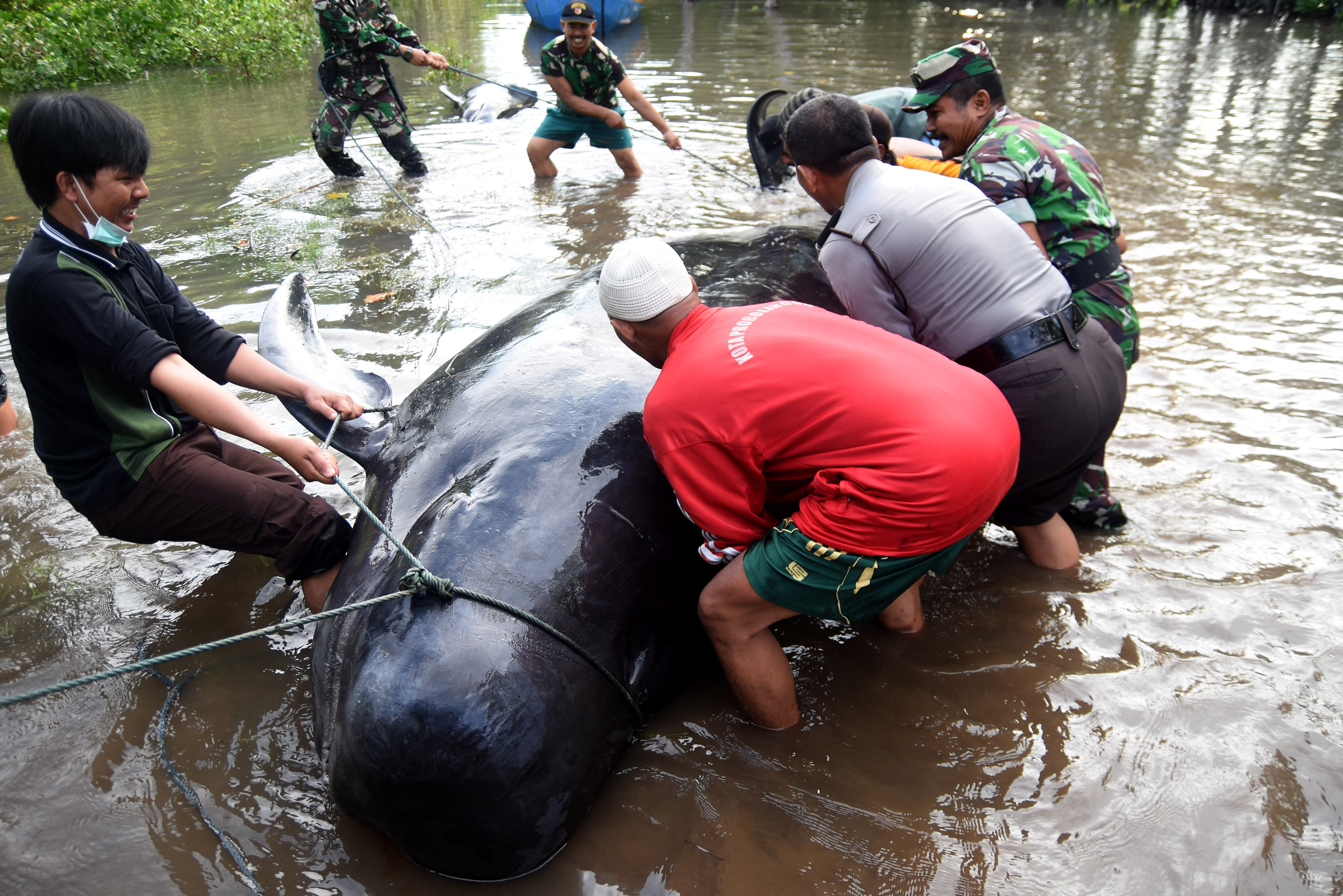 20160616_2_17533799_11372854