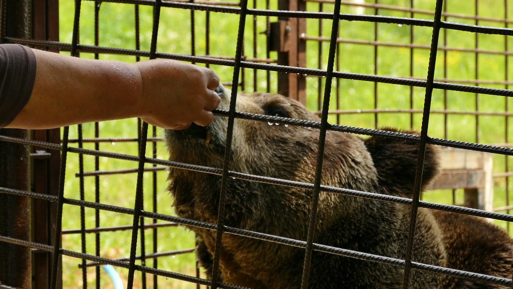 20160702_2_17838211_11878786