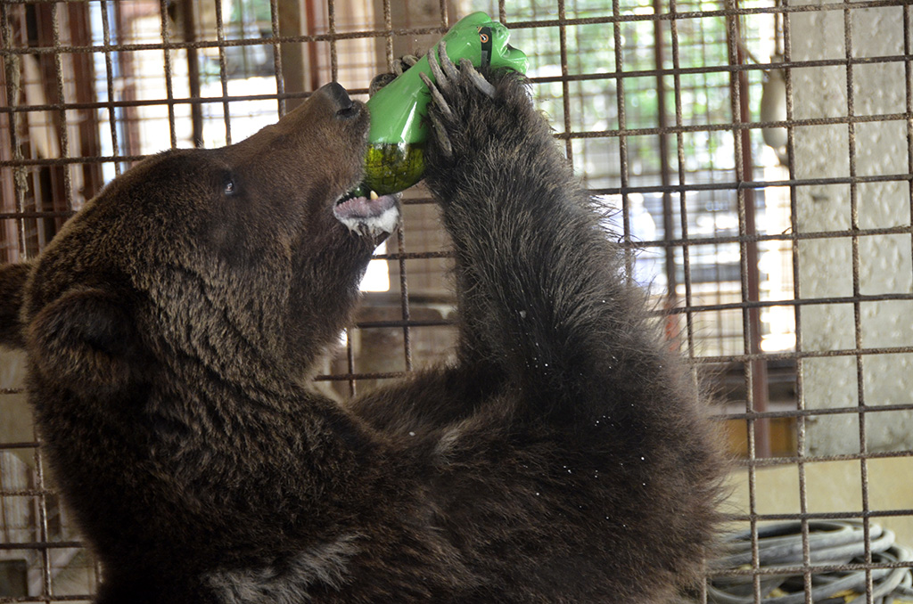 20160702_2_17838211_11878788