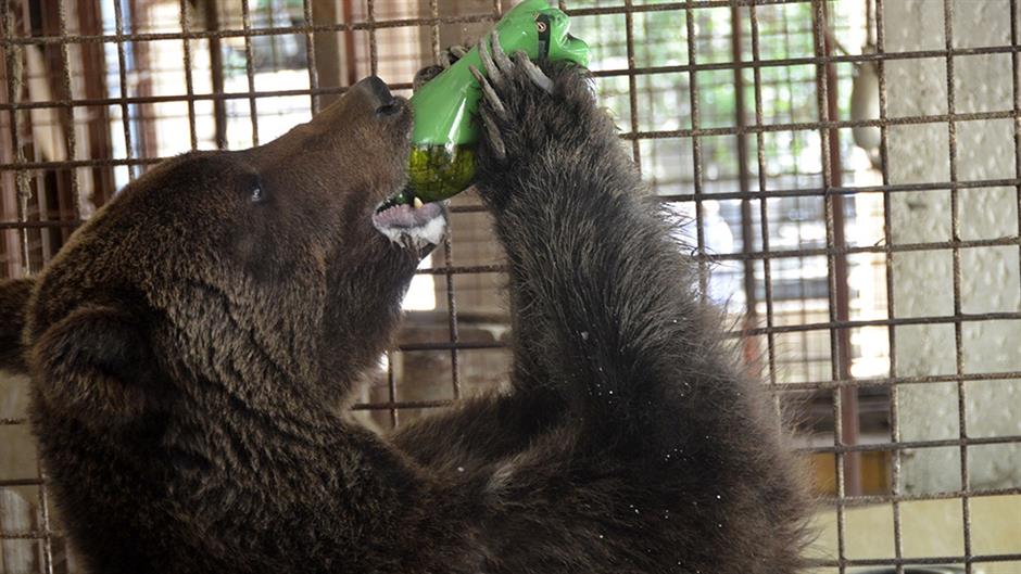 20160702_2_17838211_11878788