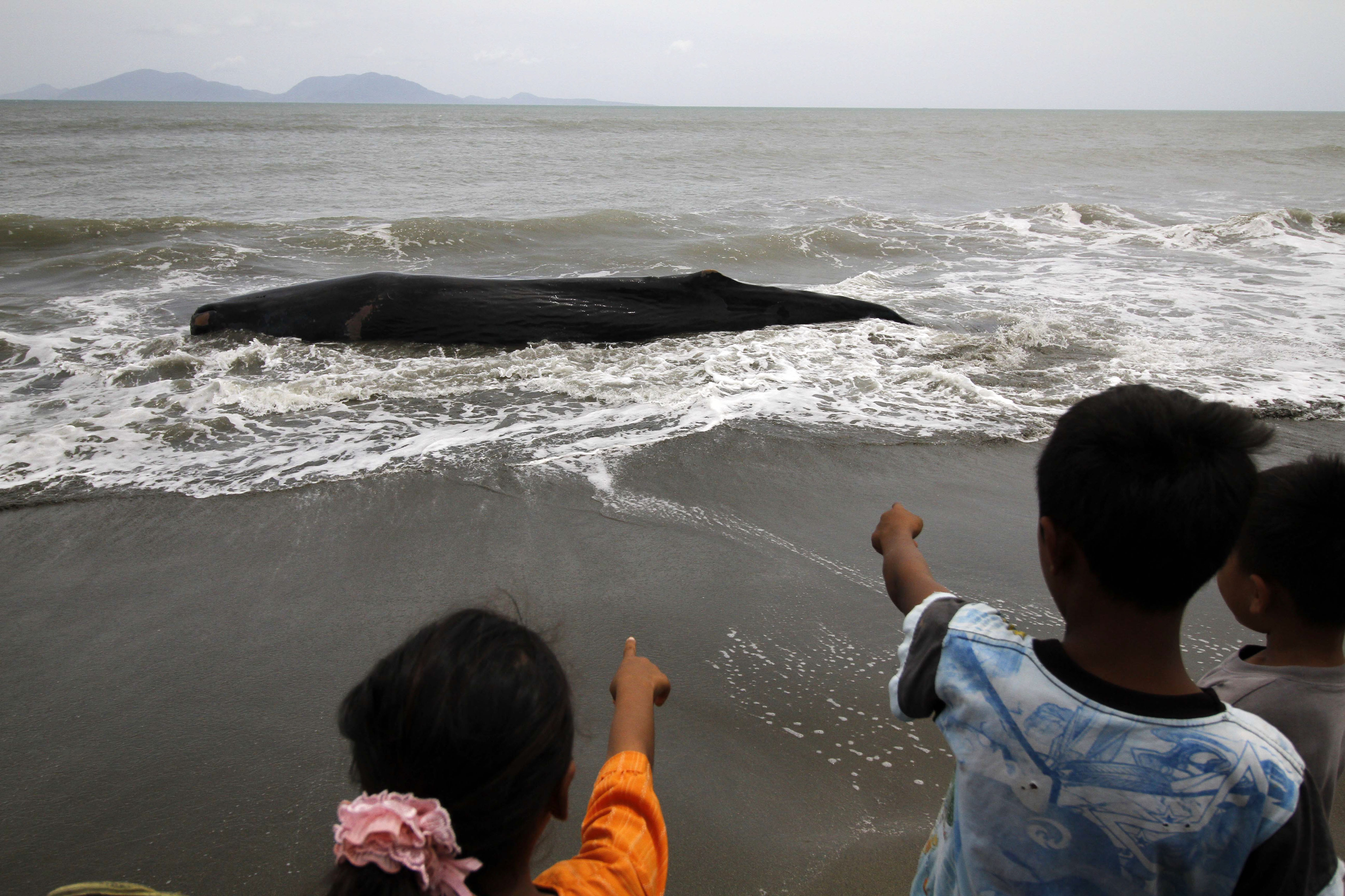 20160804_2_18419625_13016859