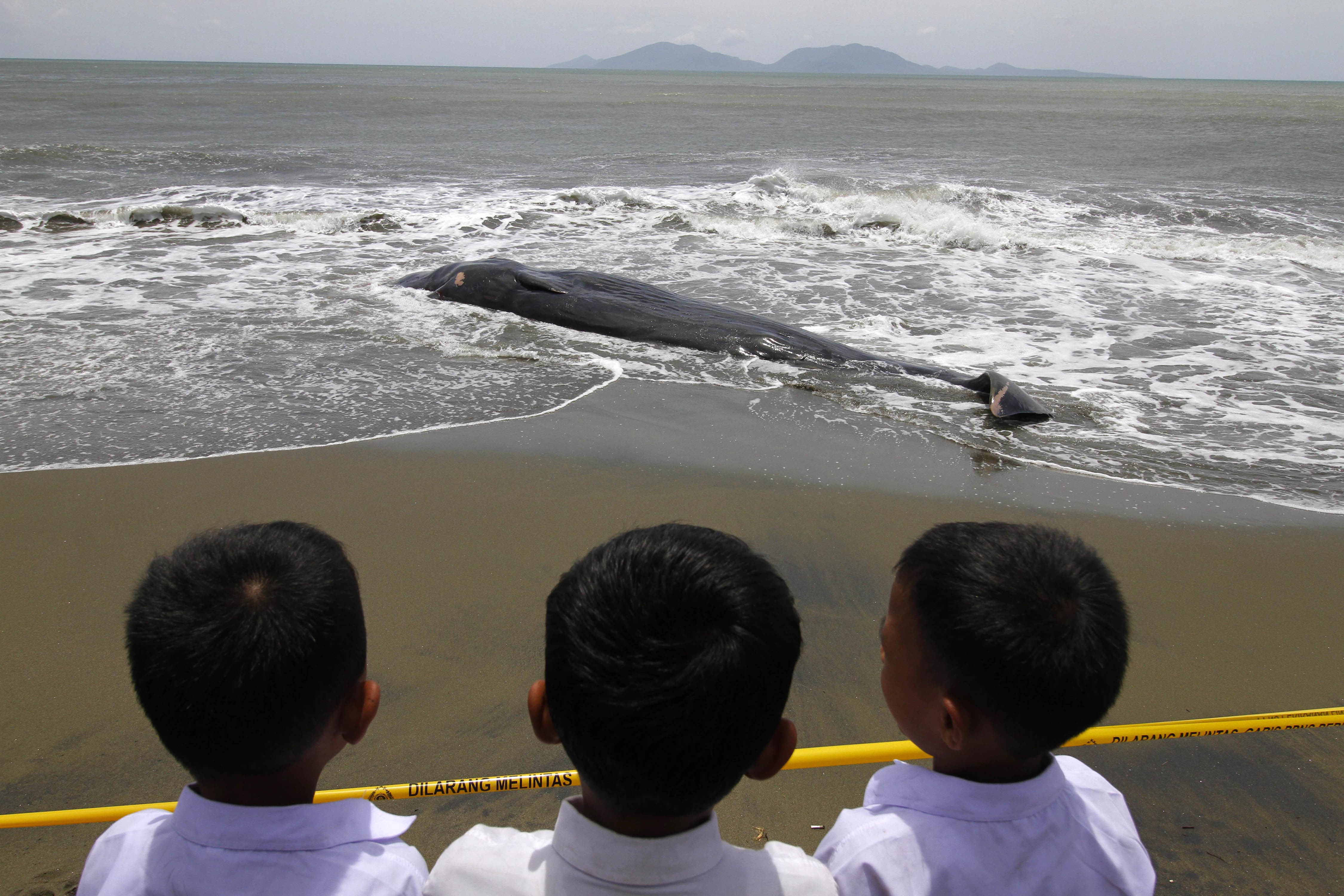 20160804_2_18419625_13016862