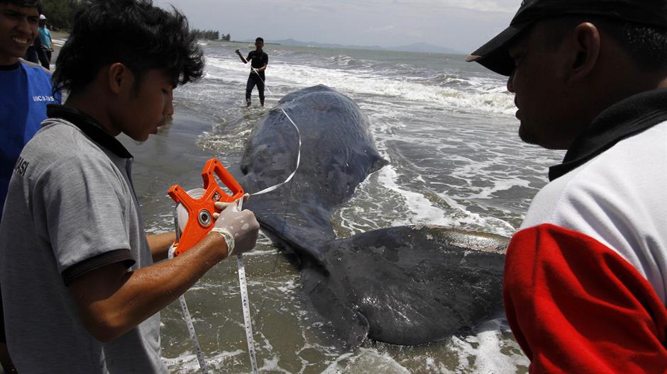 20160804_2_18419625_13016870