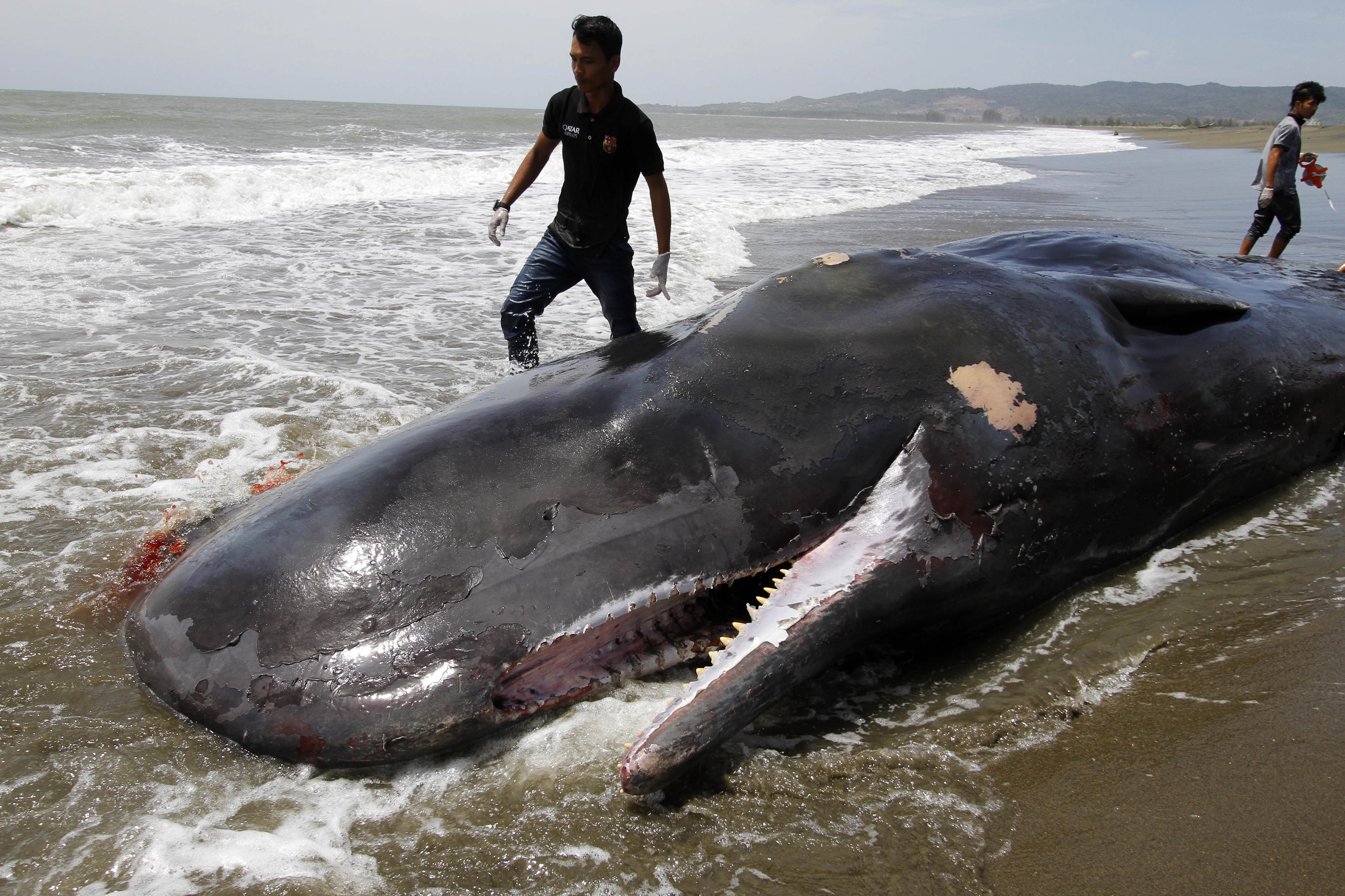 20160804_2_18419625_13016873