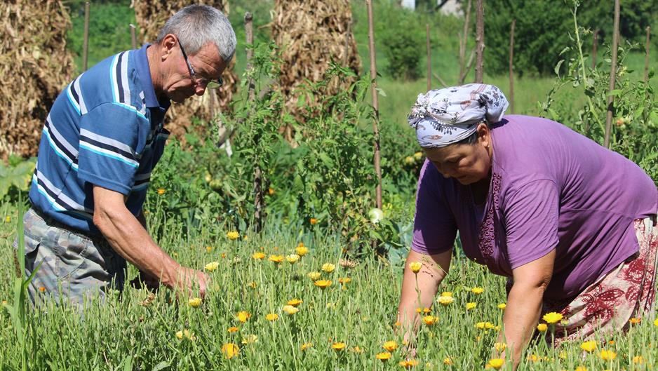 20160807_2_18460251_13094884