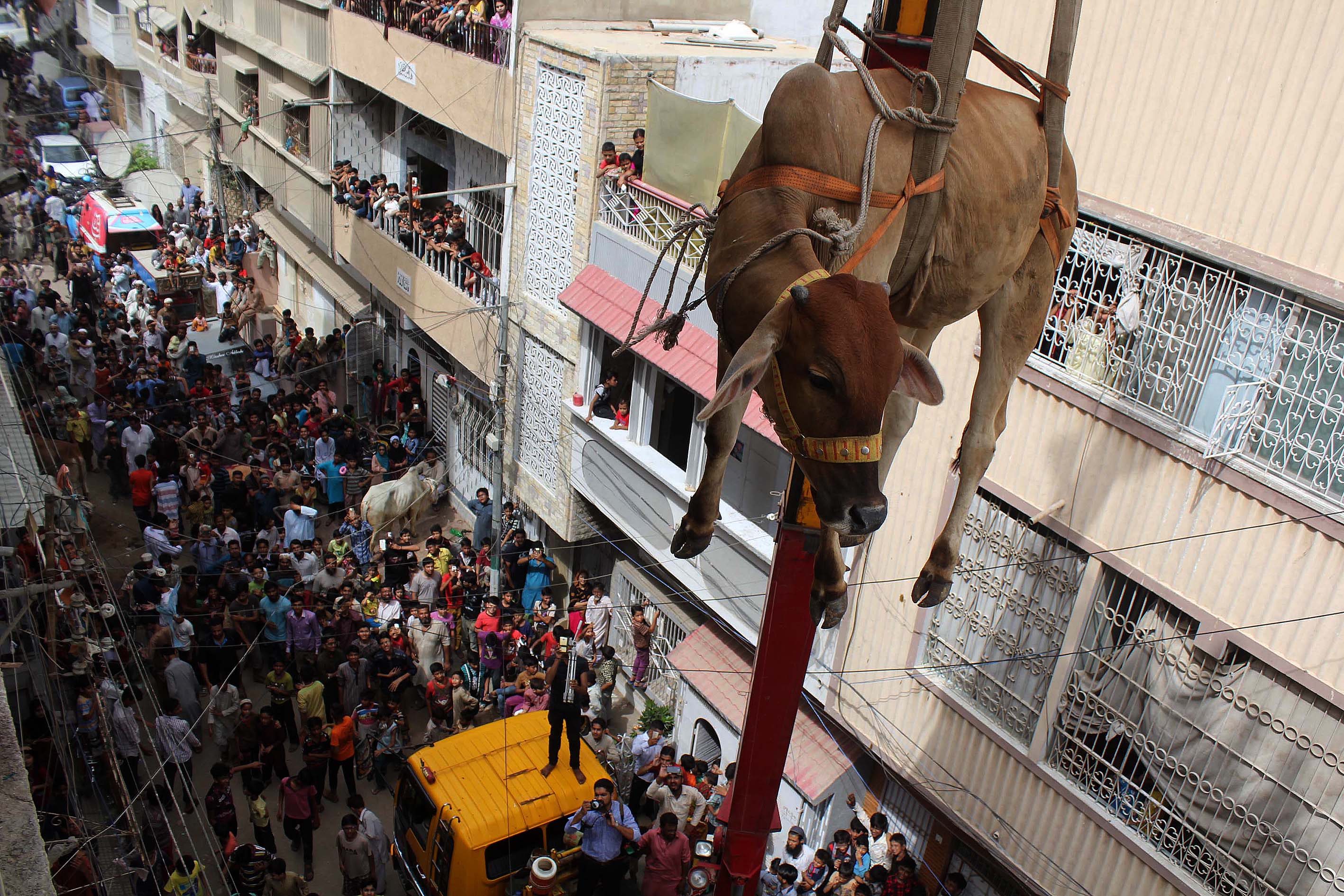 20160905_2_18952724_13916002