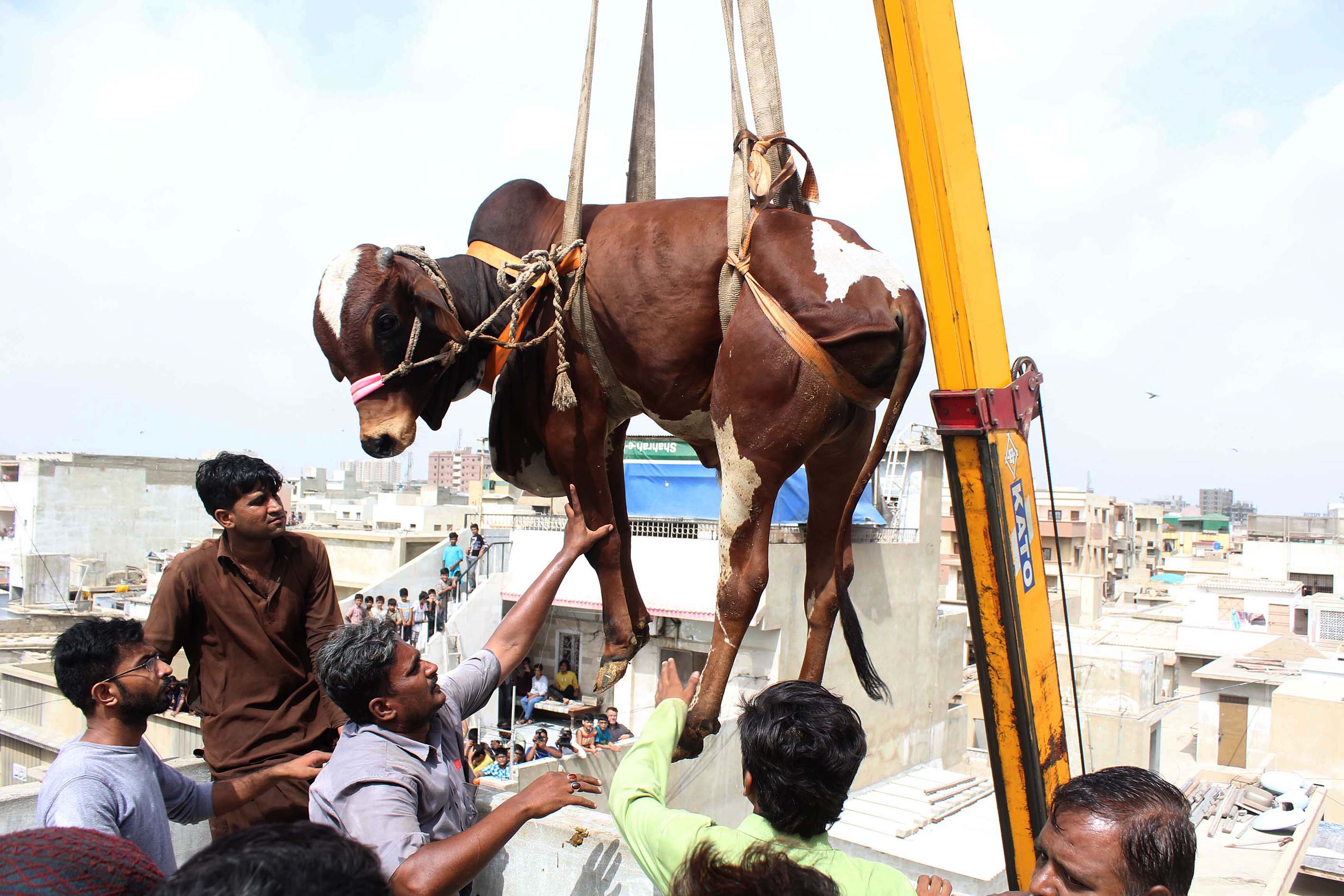 20160905_2_18952724_13916004