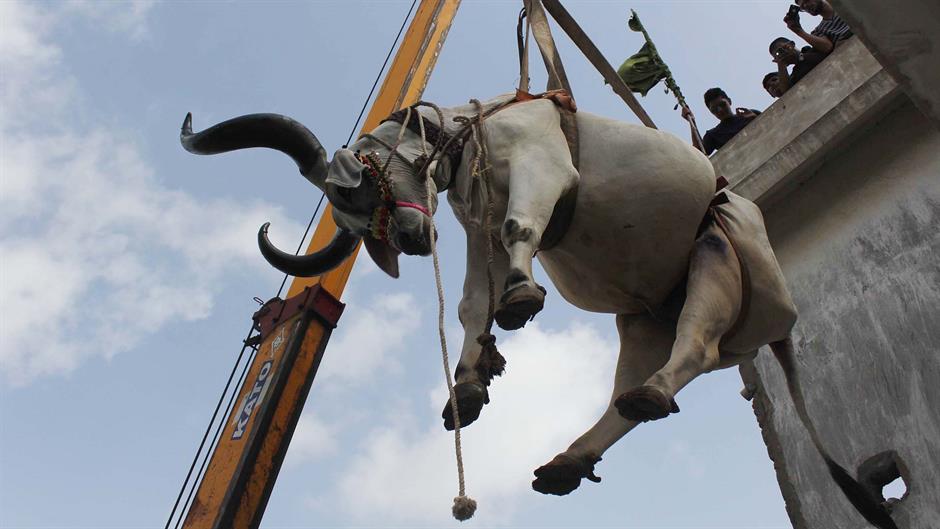 20160905_2_18952724_13916007