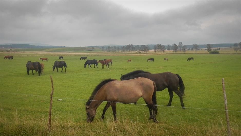 20160910_2_19044336_14062067