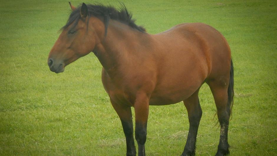 20160910_2_19044336_14062069