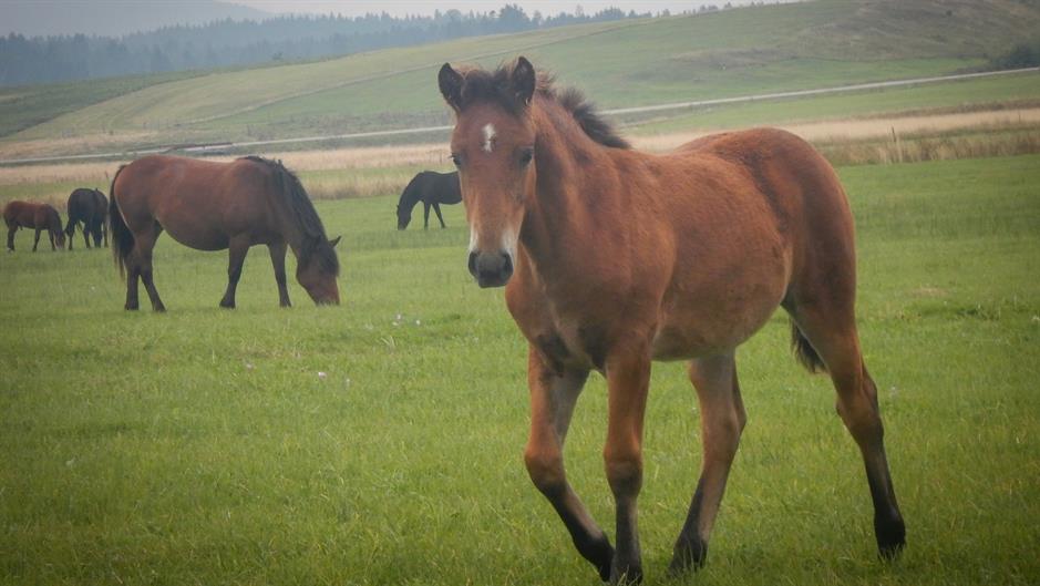 20160910_2_19044336_14062081