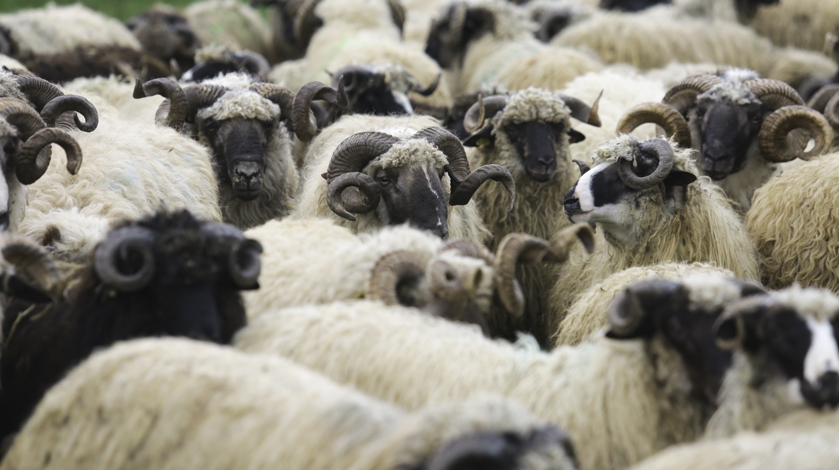 20160911_2_19056637_14090531