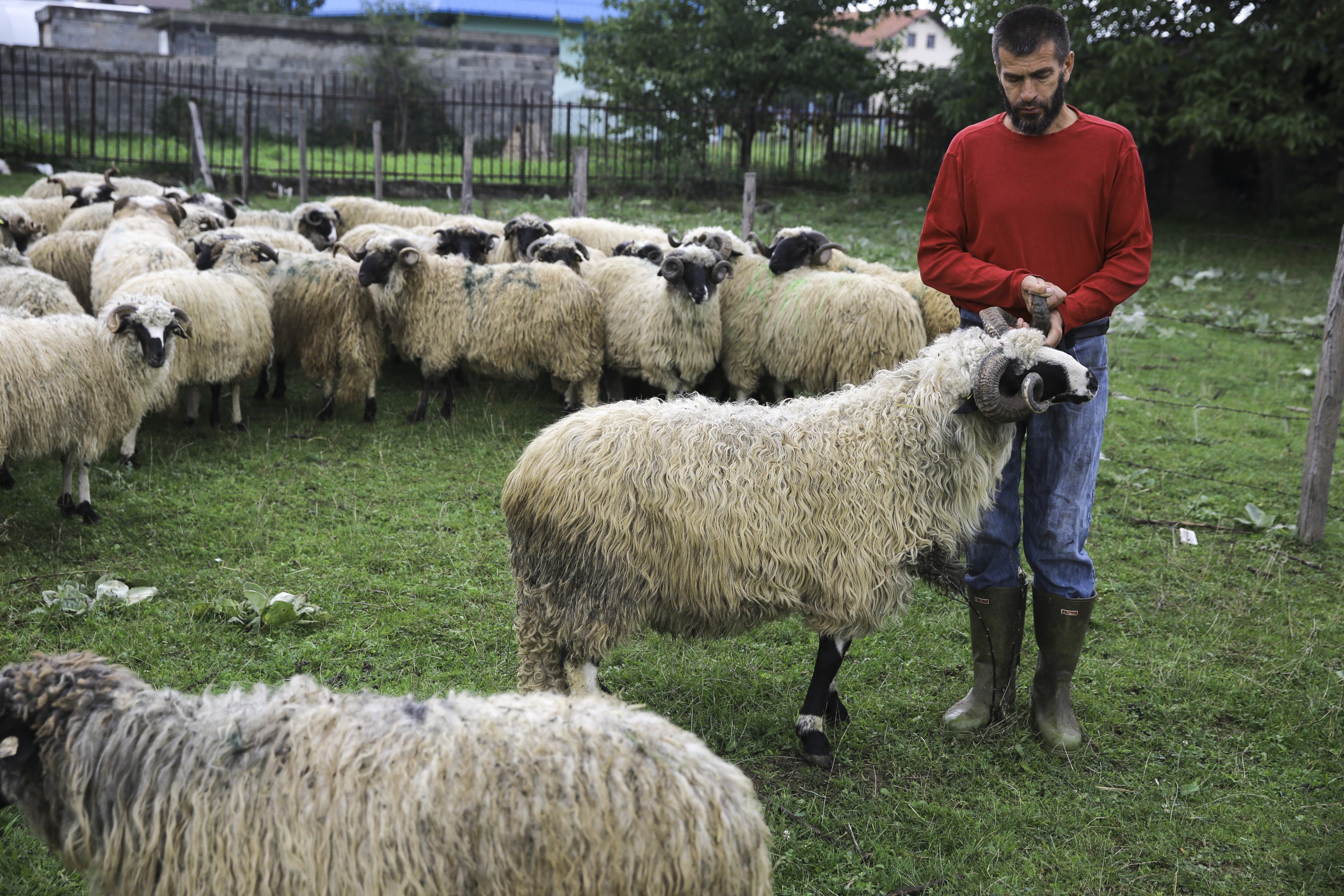 20160911_2_19056637_14090535