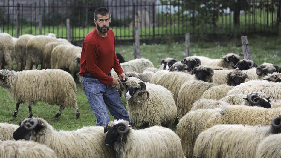 20160911_2_19056637_14090537