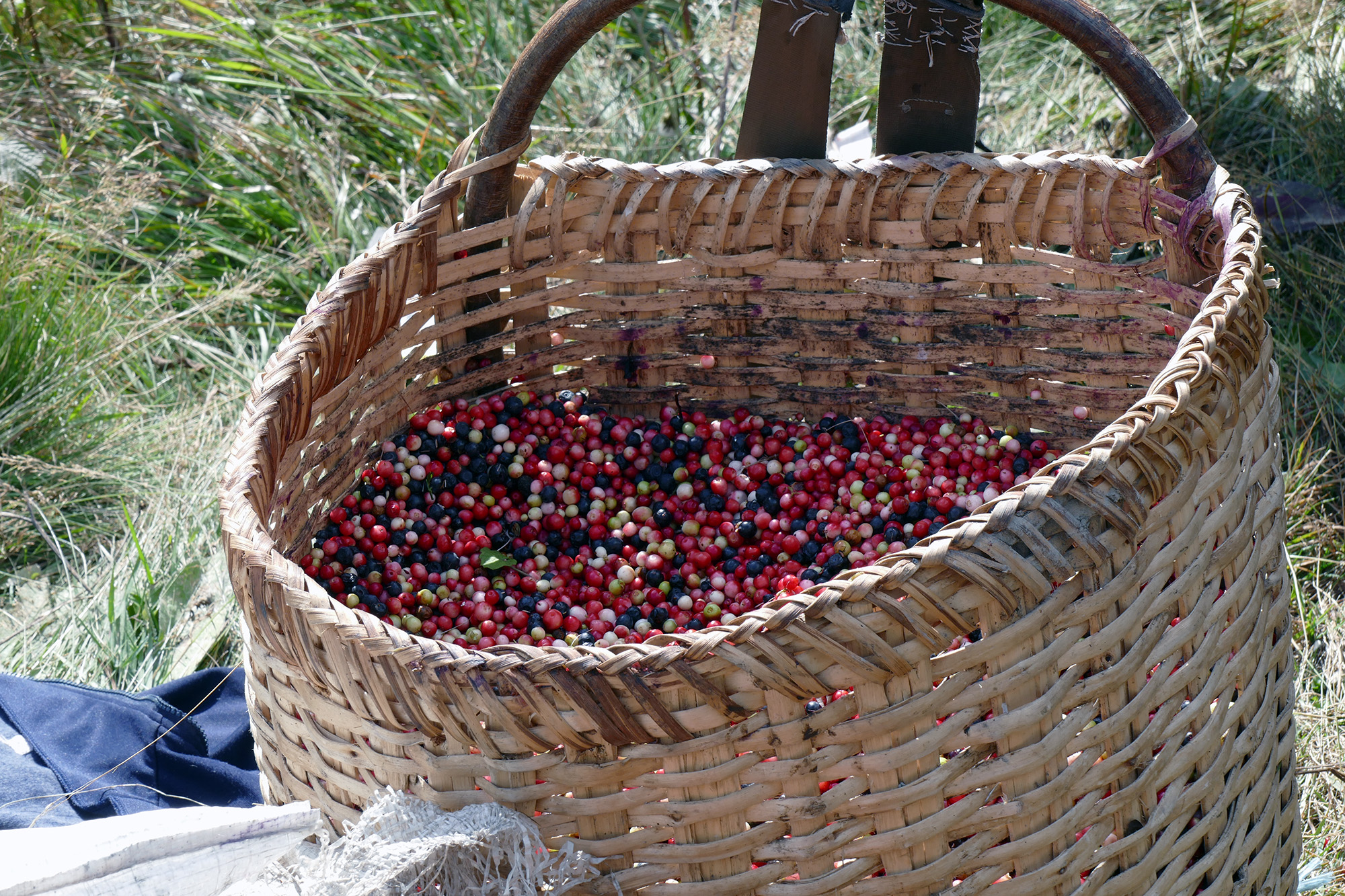 20160918_2_19136843_14265034