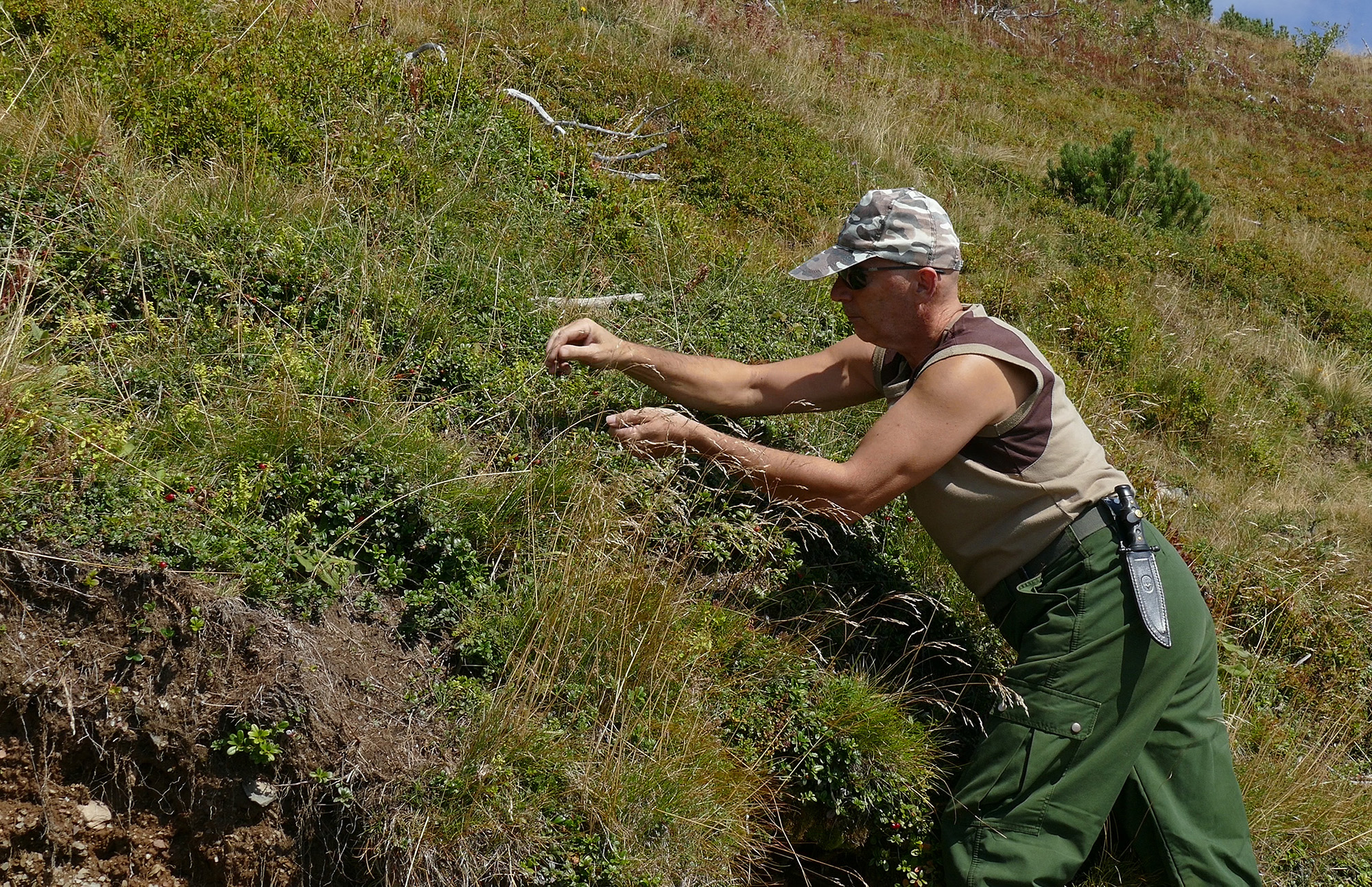 20160918_2_19136843_14265039