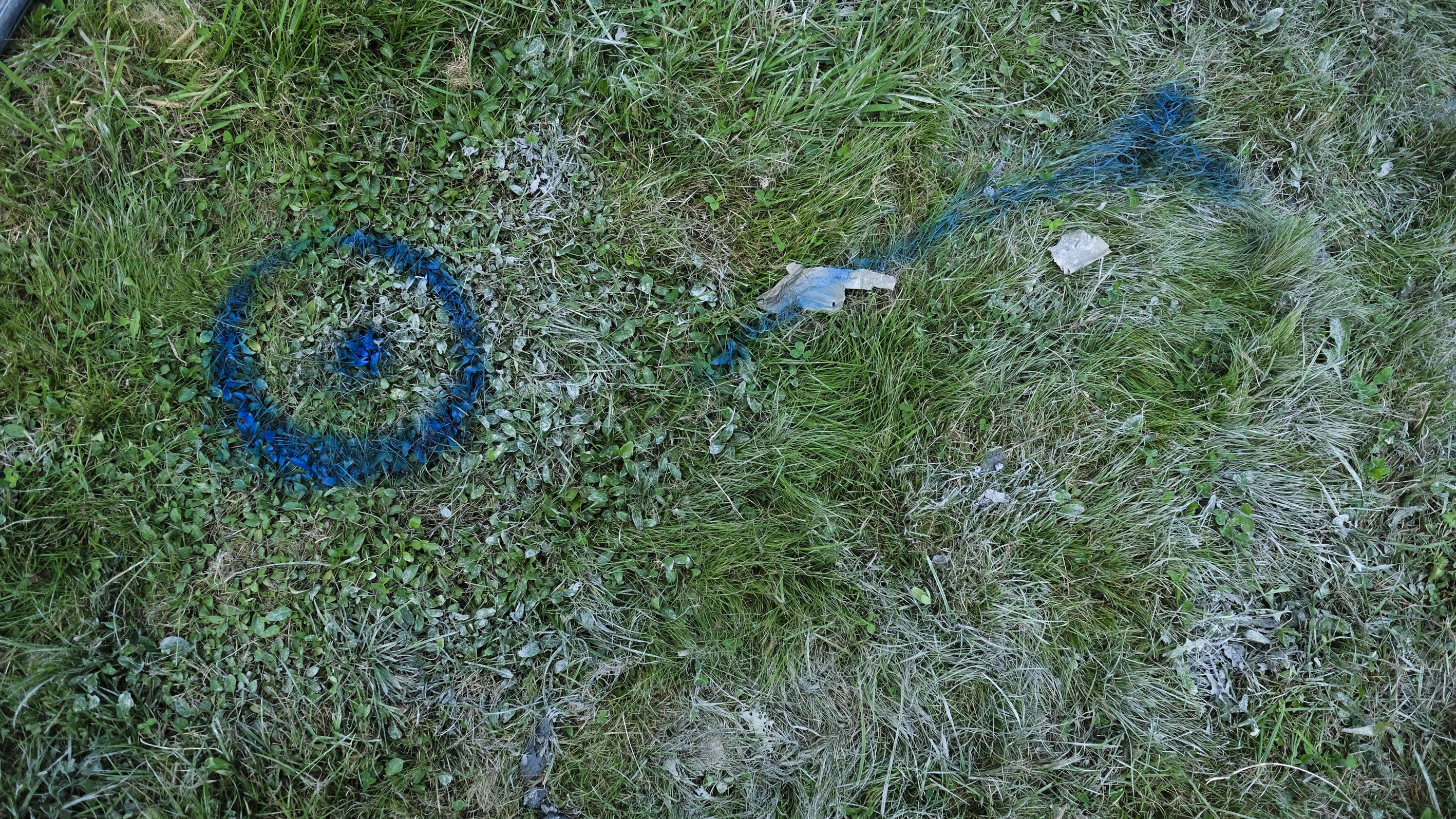 20161001_2_19342945_14623892