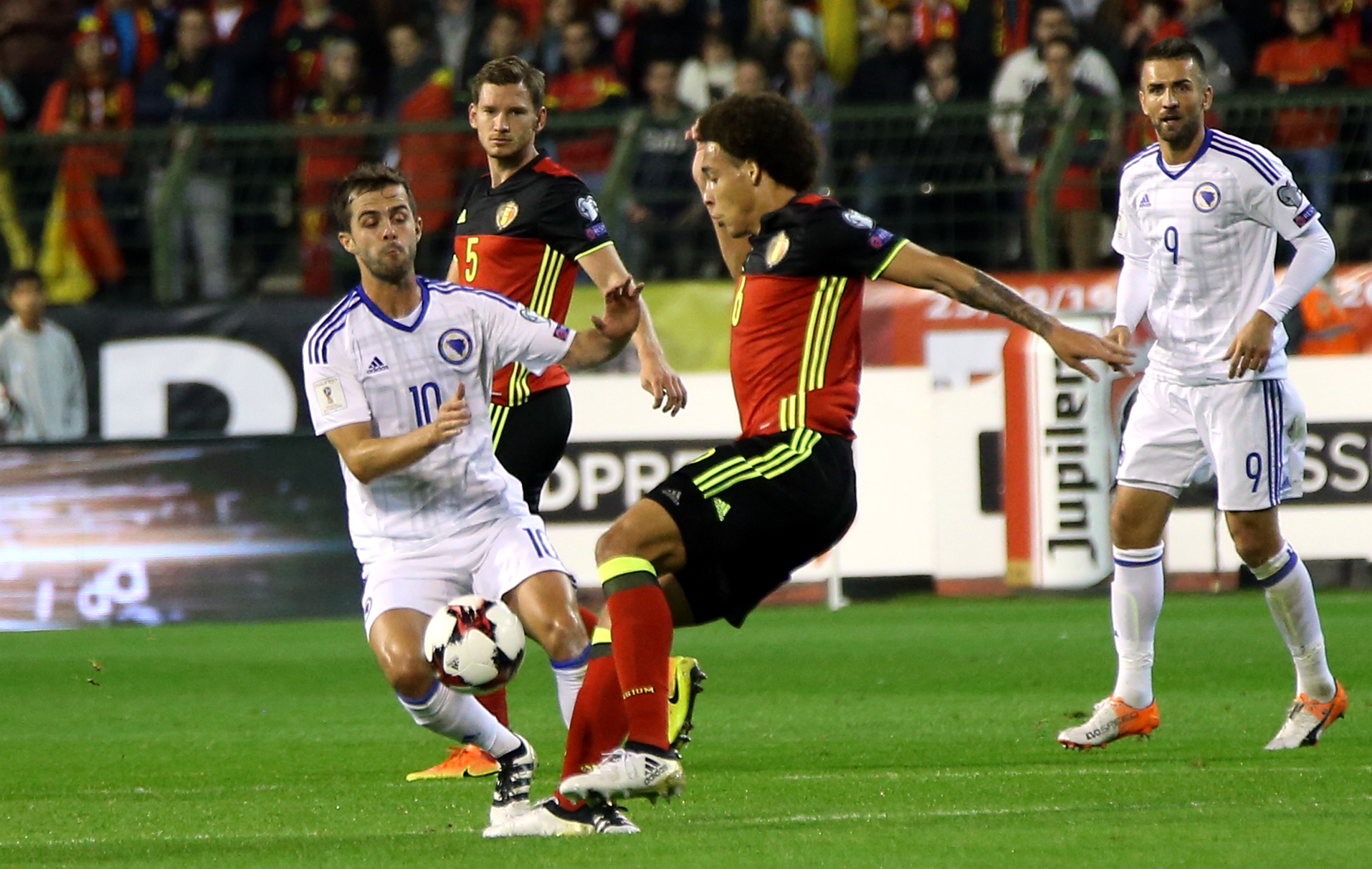 20161007_2_19452038_14822459