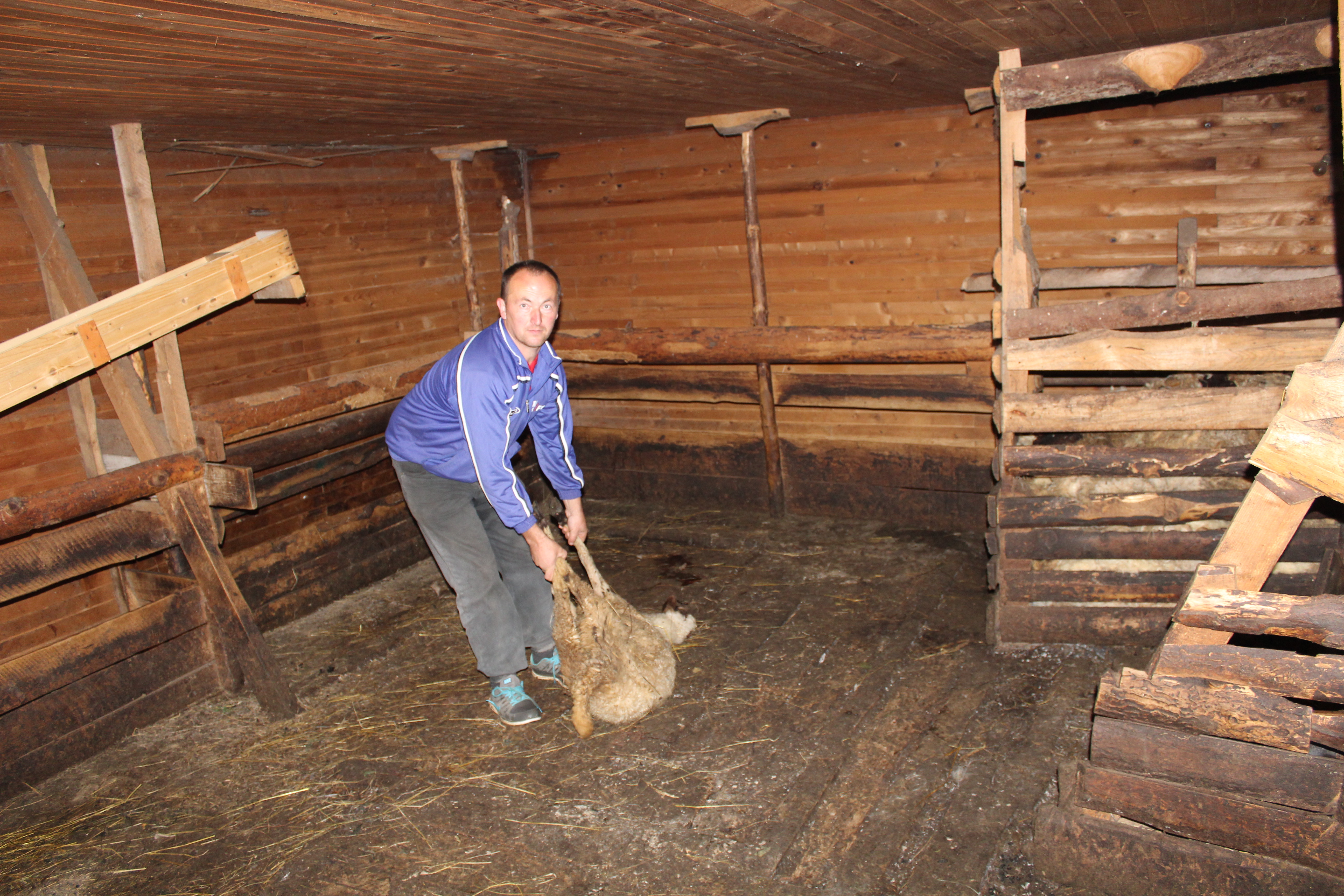 20161008_2_19453744_14825847