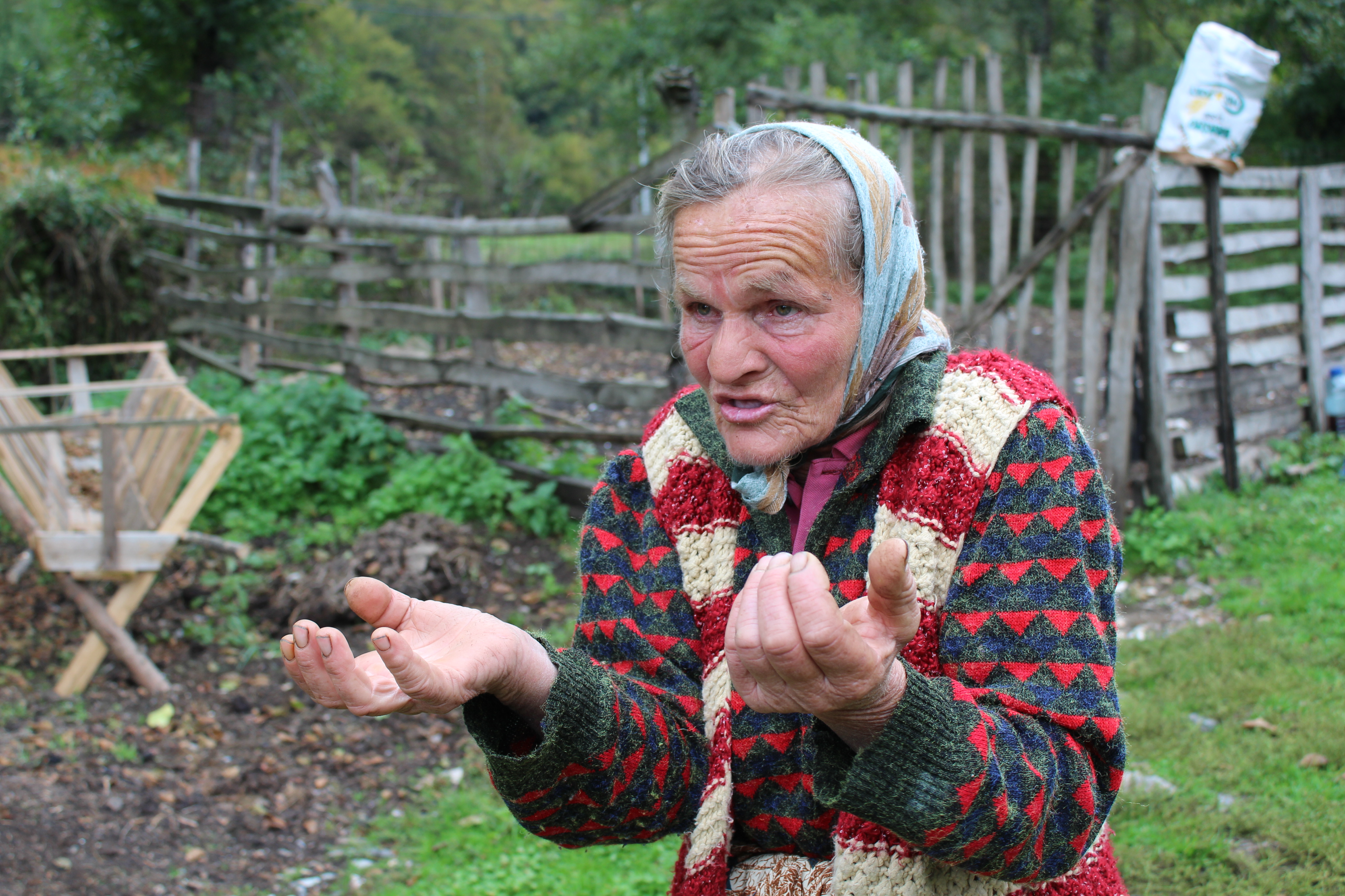 20161008_2_19453744_14825849