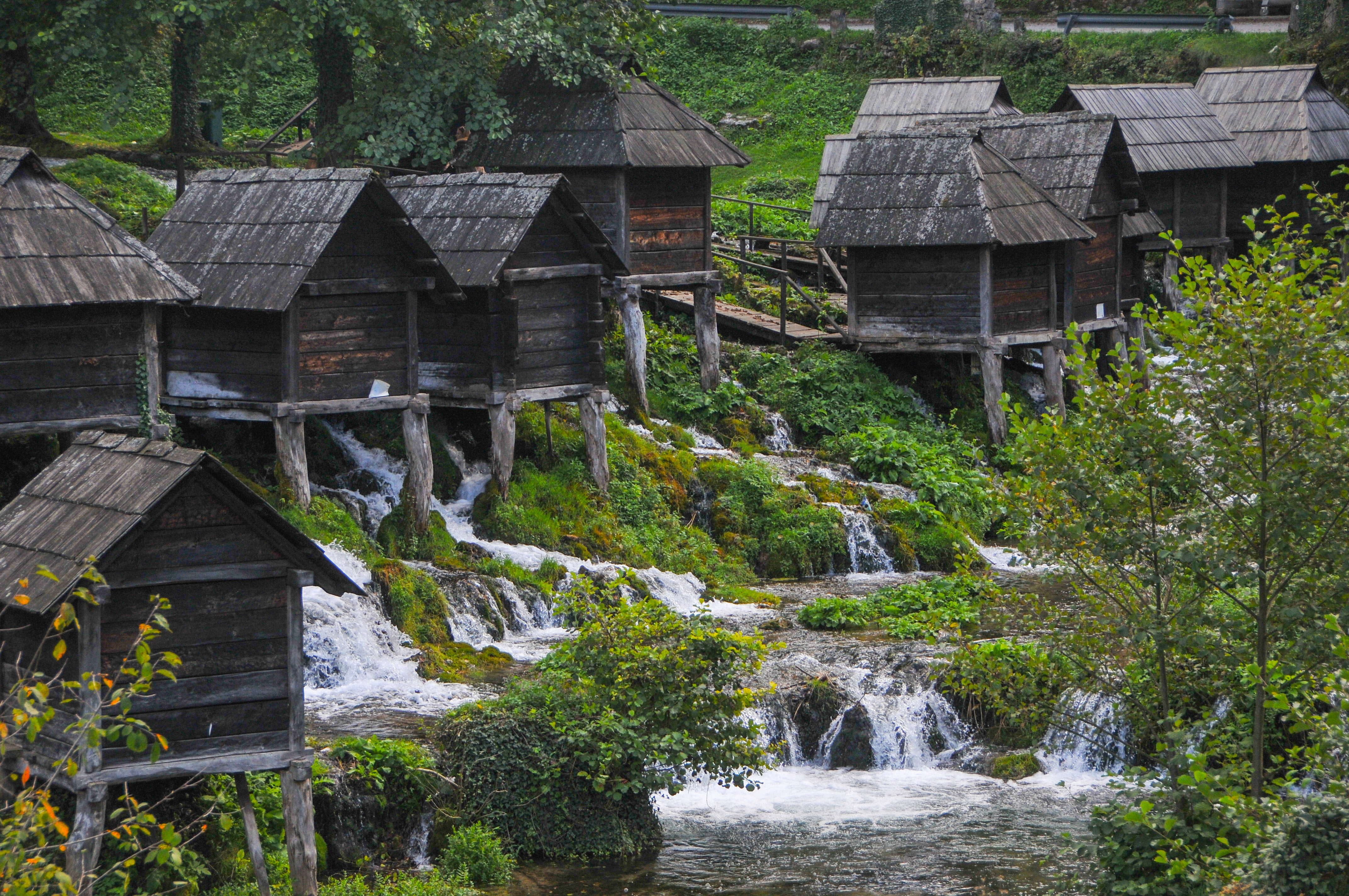 20161009_2_19472954_14861859