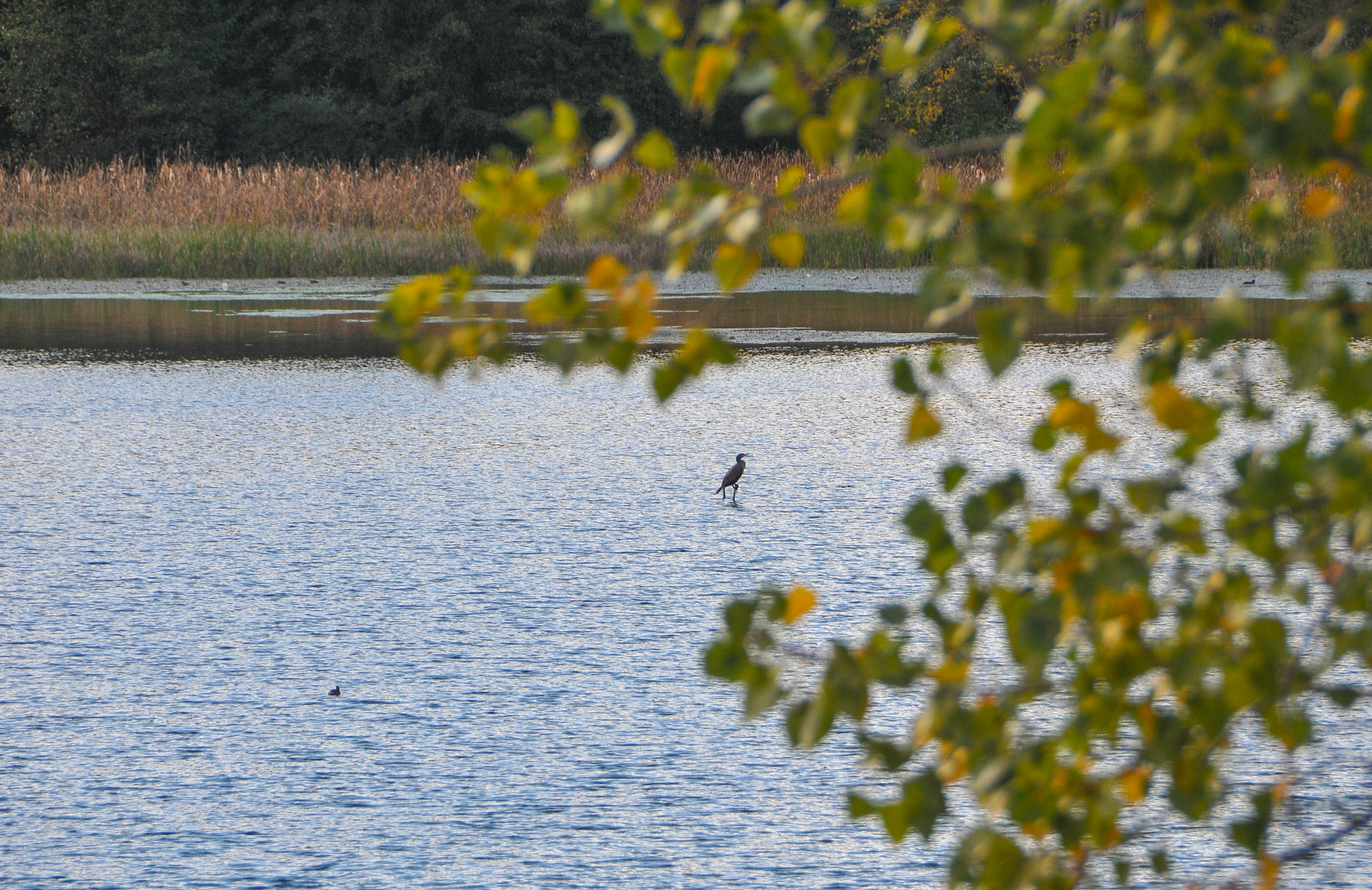 20161009_2_19472954_14861860