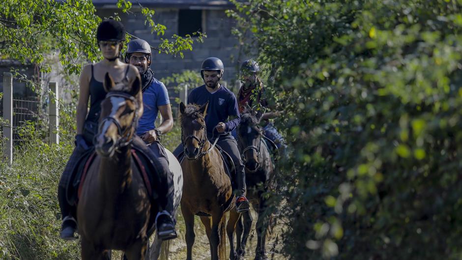 20161010_2_19480197_14879021