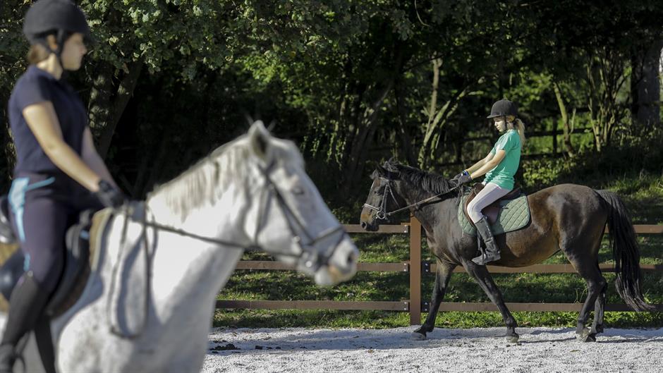 20161010_2_19480197_14879025