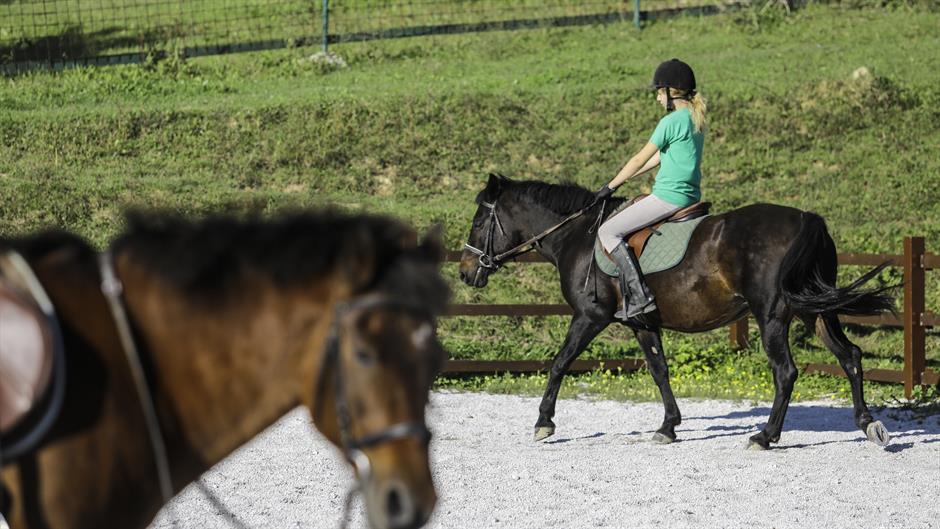 20161010_2_19480197_14879026