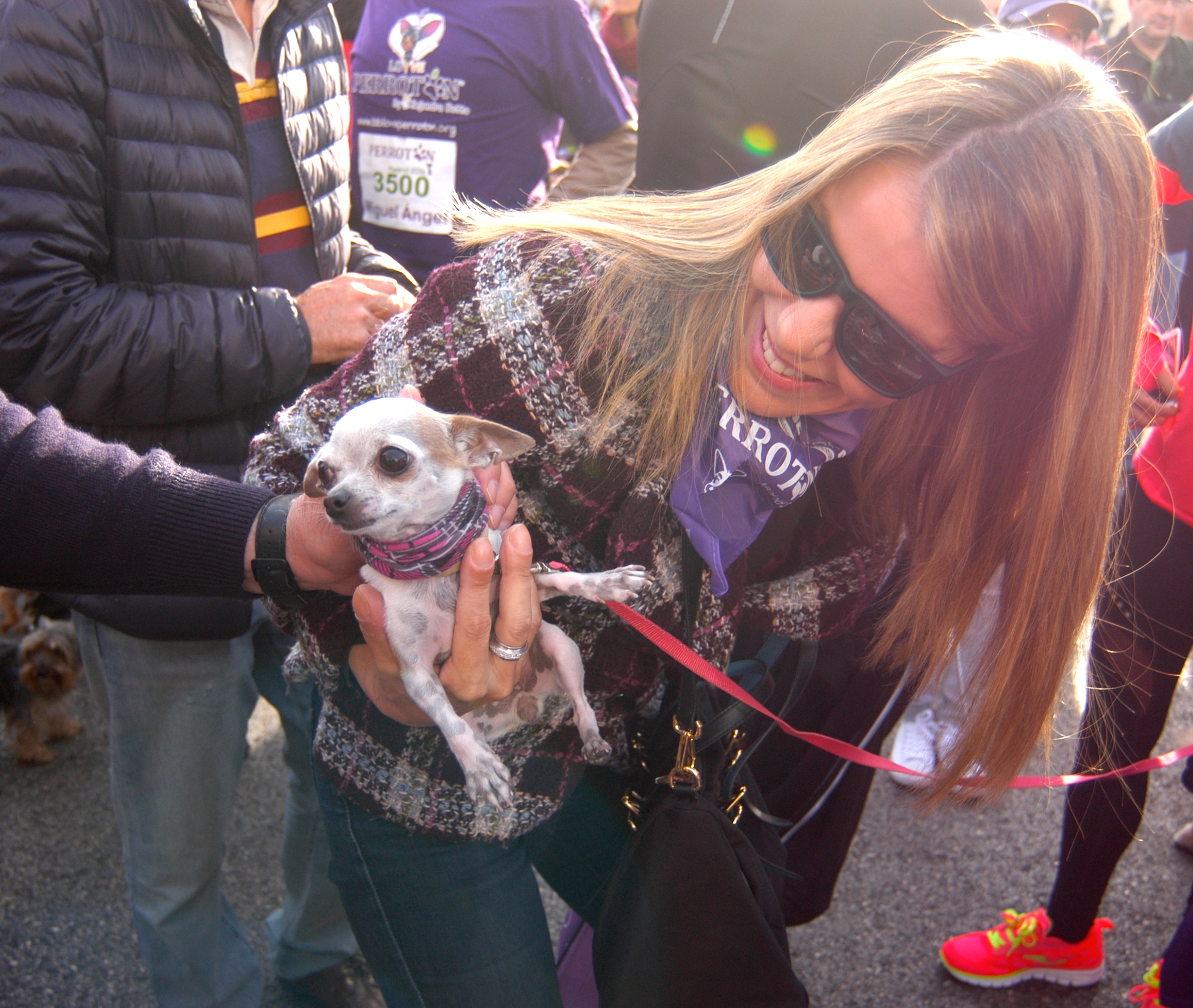 20161016_2_19596778_15080282