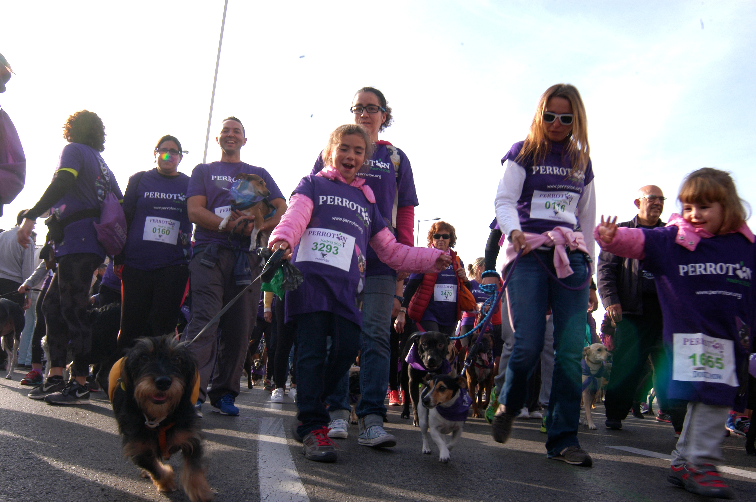 20161016_2_19596778_15080286