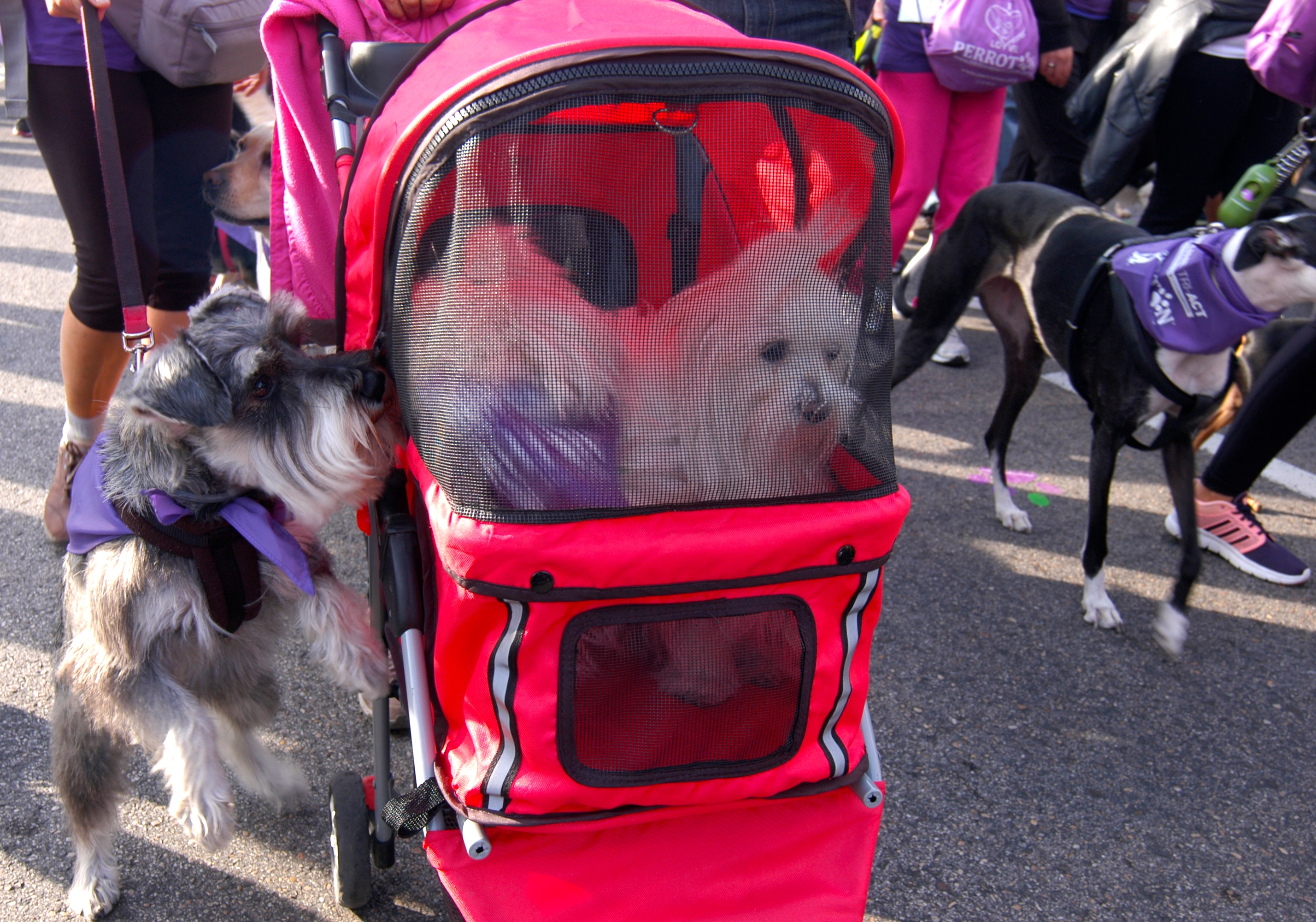 20161016_2_19596778_15080288